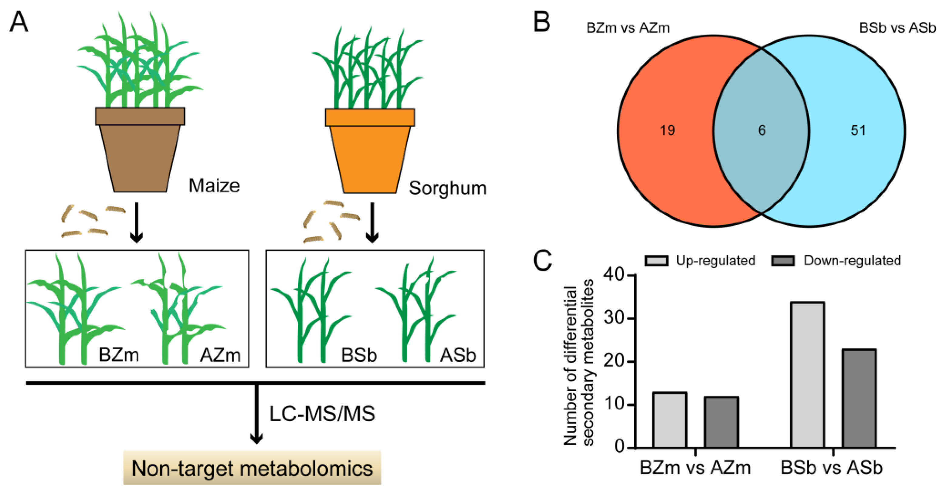 Insects 16 00218 g003