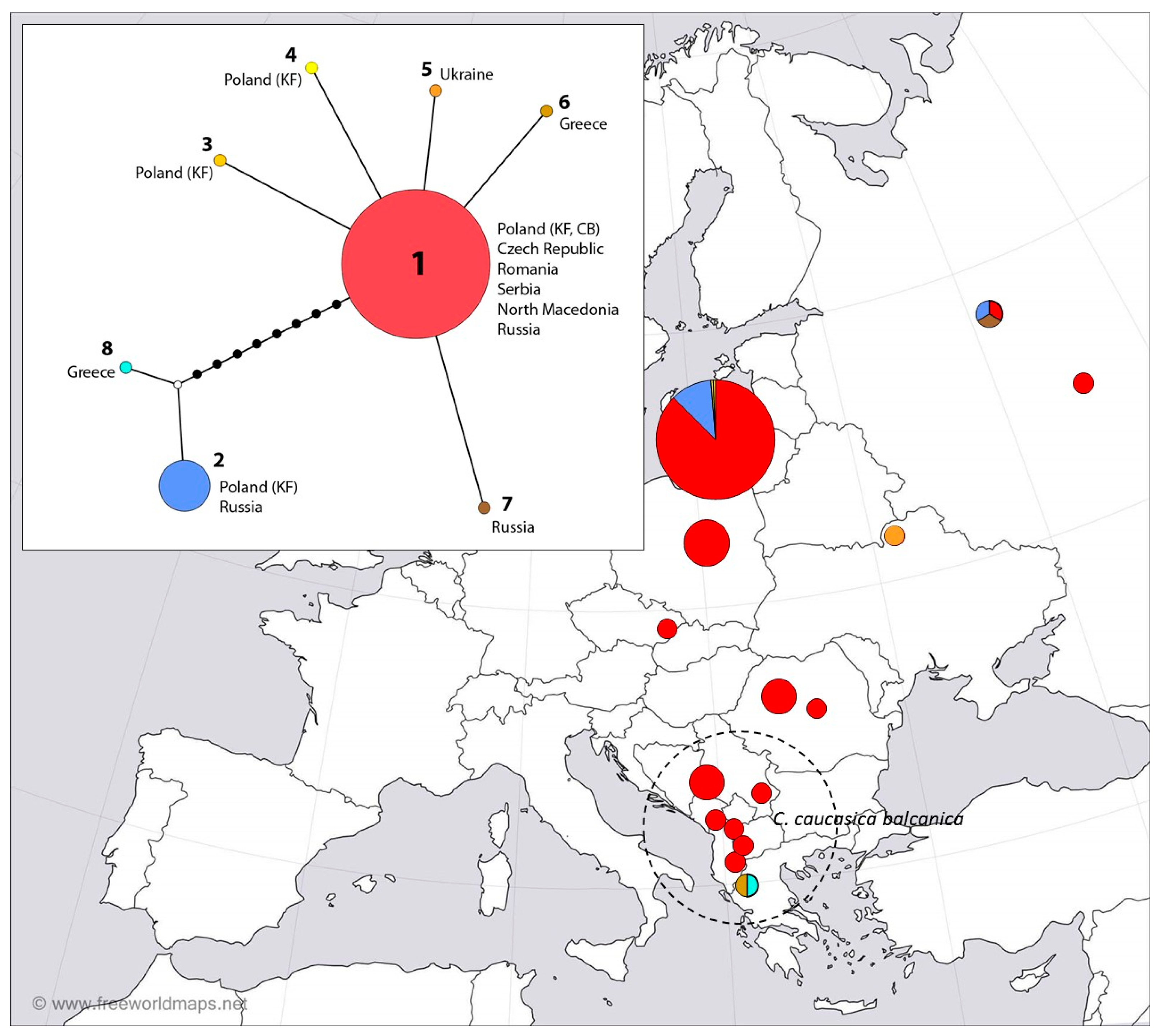 Insects 16 00220 g003