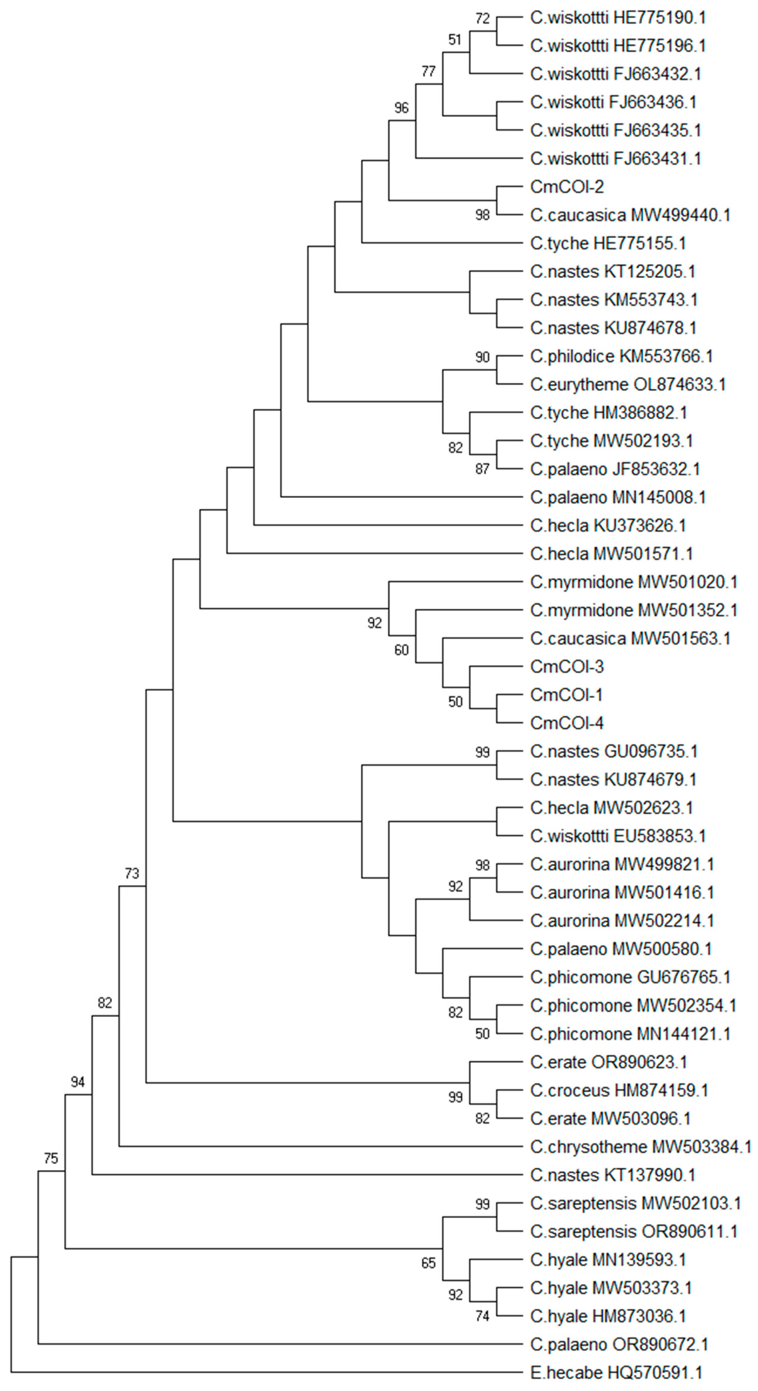 Insects 16 00220 g004