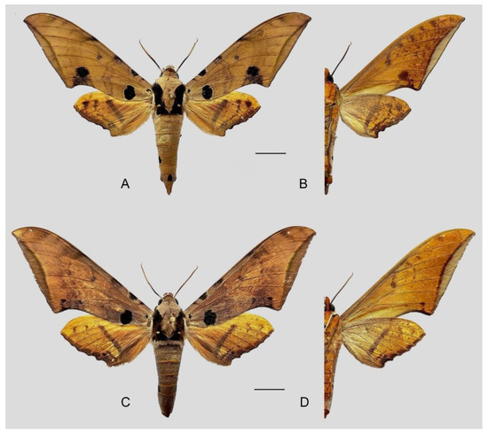 Insects 16 00223 g045