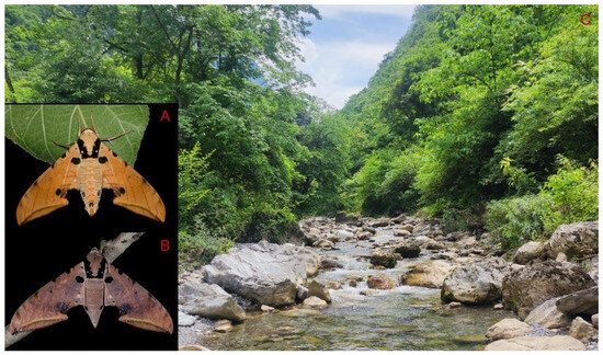 Insects 16 00223 g048