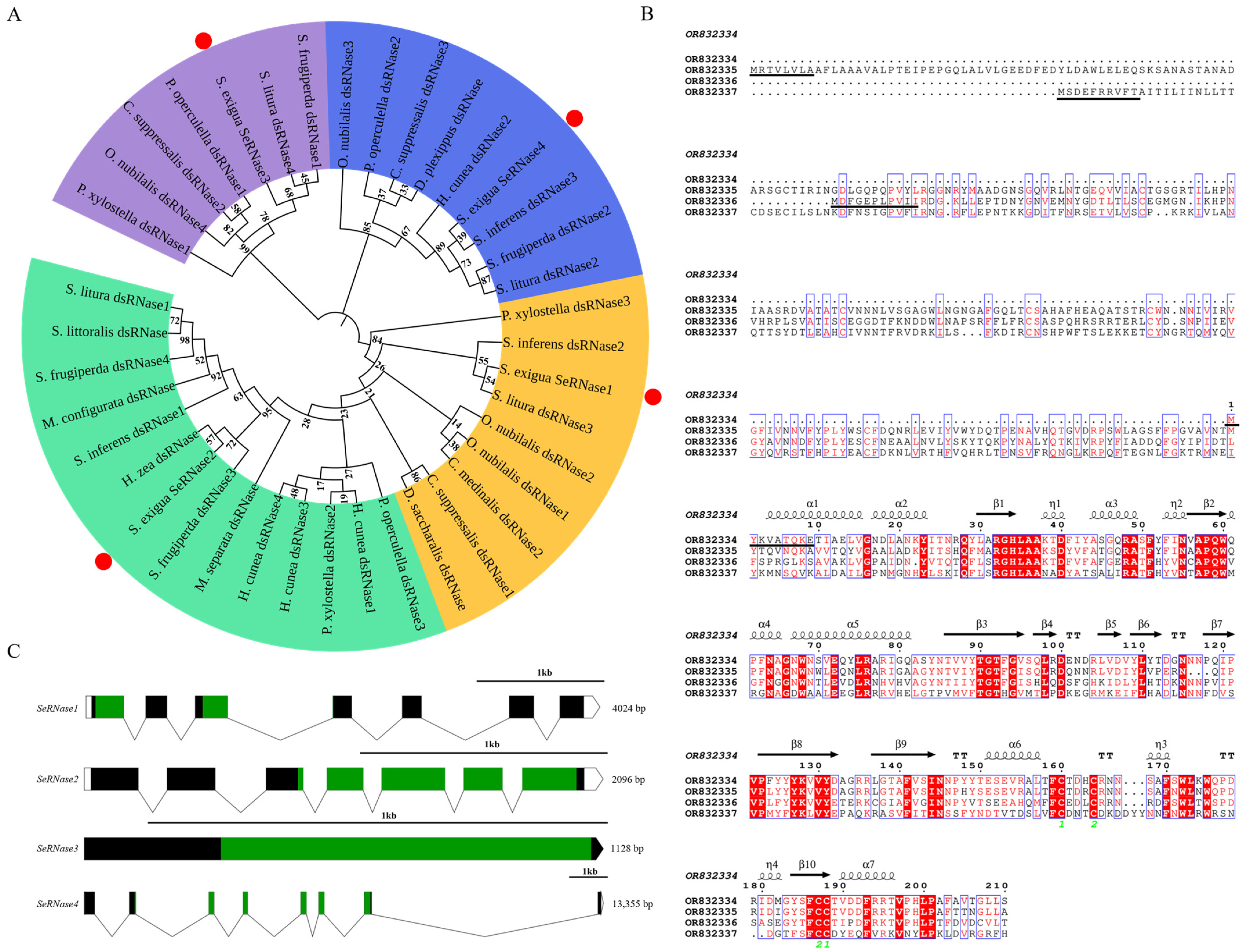 Insects 16 00229 g001