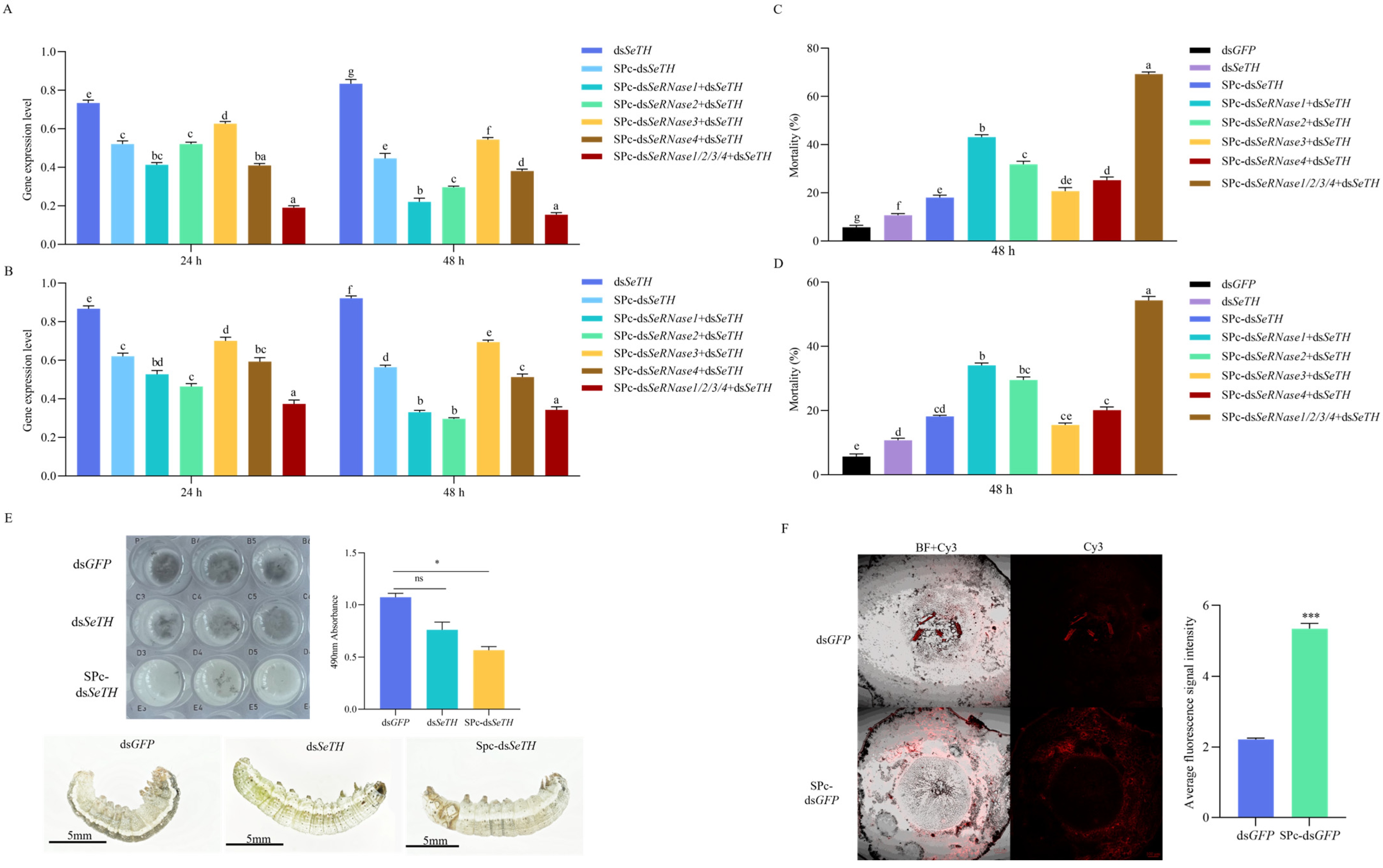 Insects 16 00229 g005