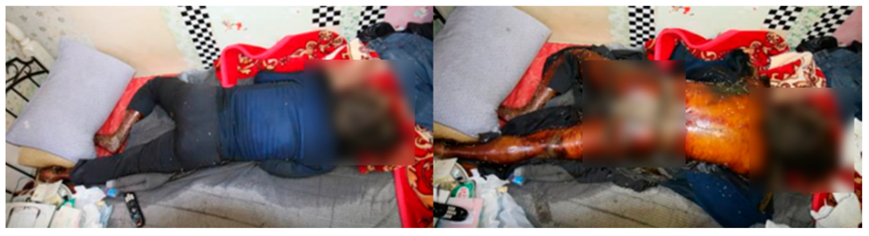 Insects 16 00231 g002