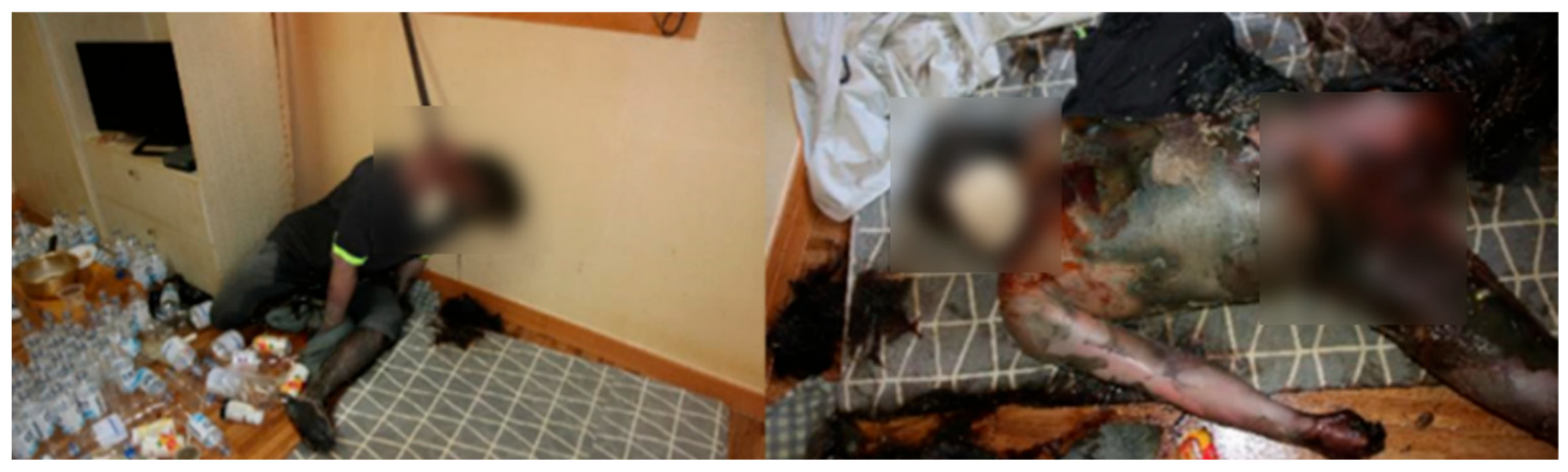 Insects 16 00231 g004