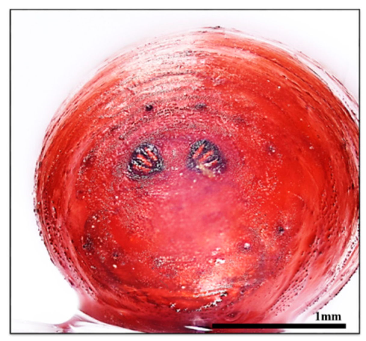 Insects 16 00231 g005