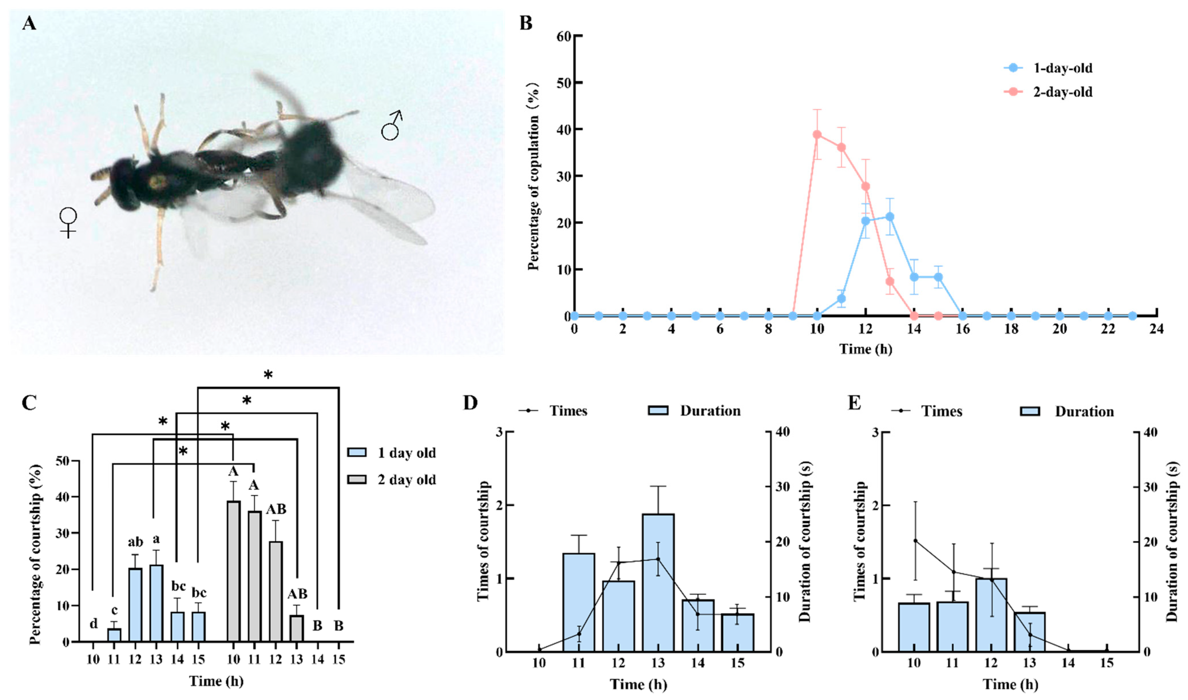 Insects 16 00239 g005