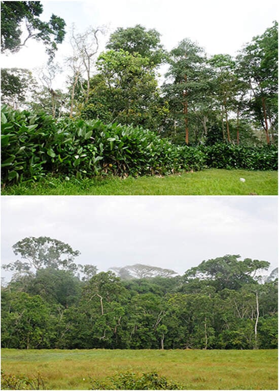 Insects 16 00241 g002