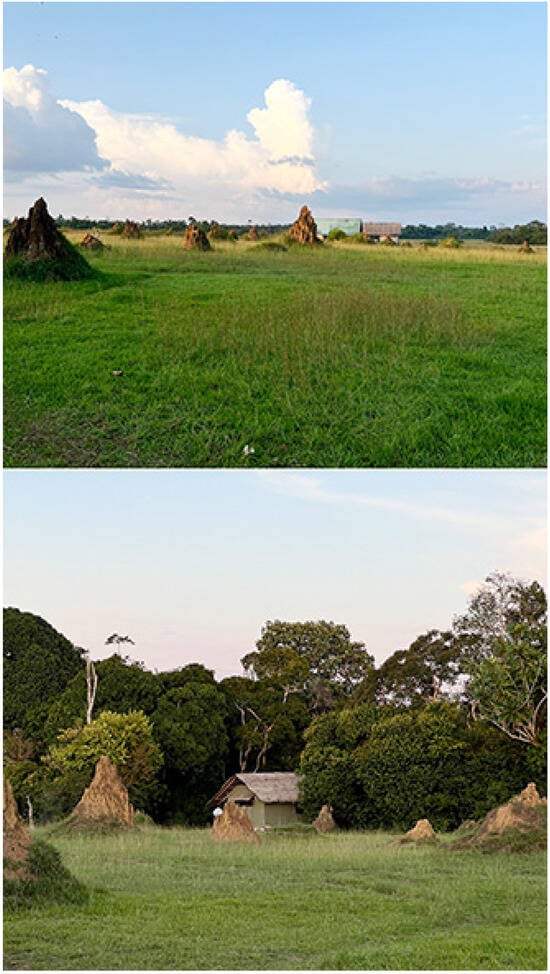 Insects 16 00241 g005