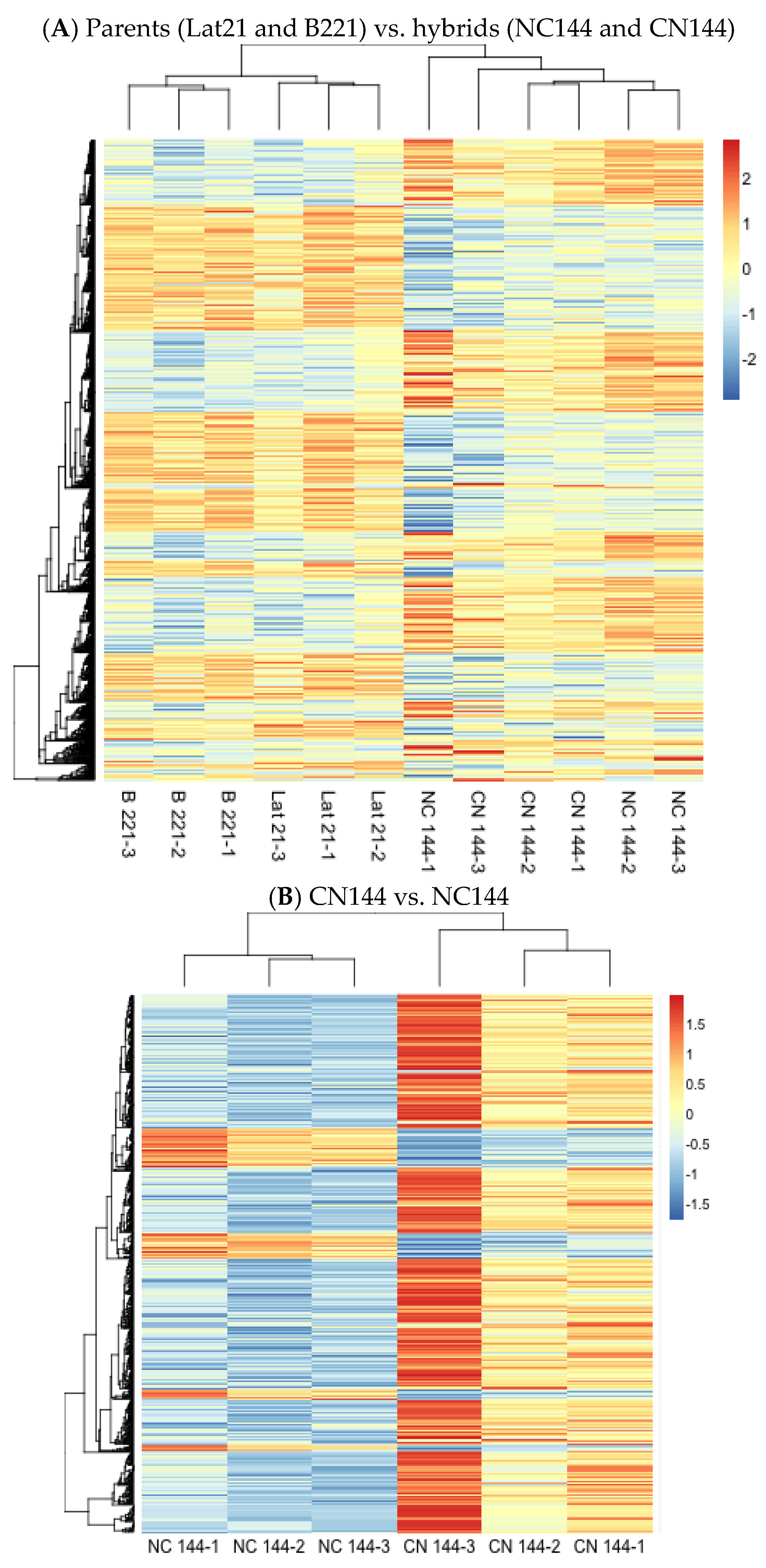 Insects 16 00243 g001