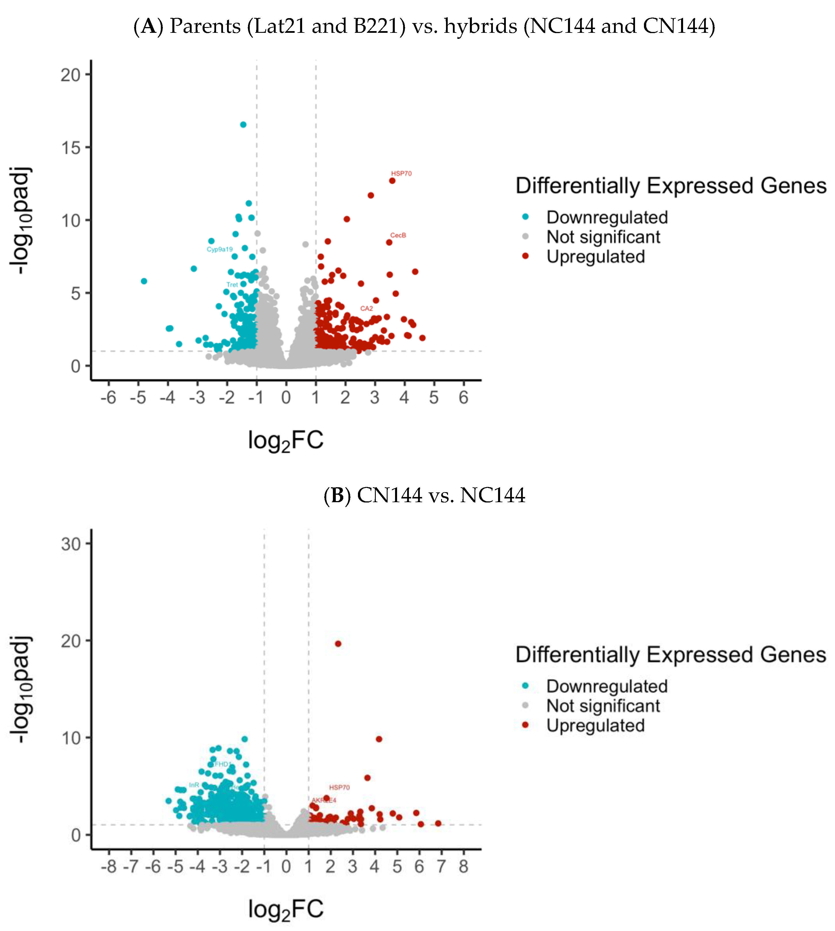 Insects 16 00243 g002