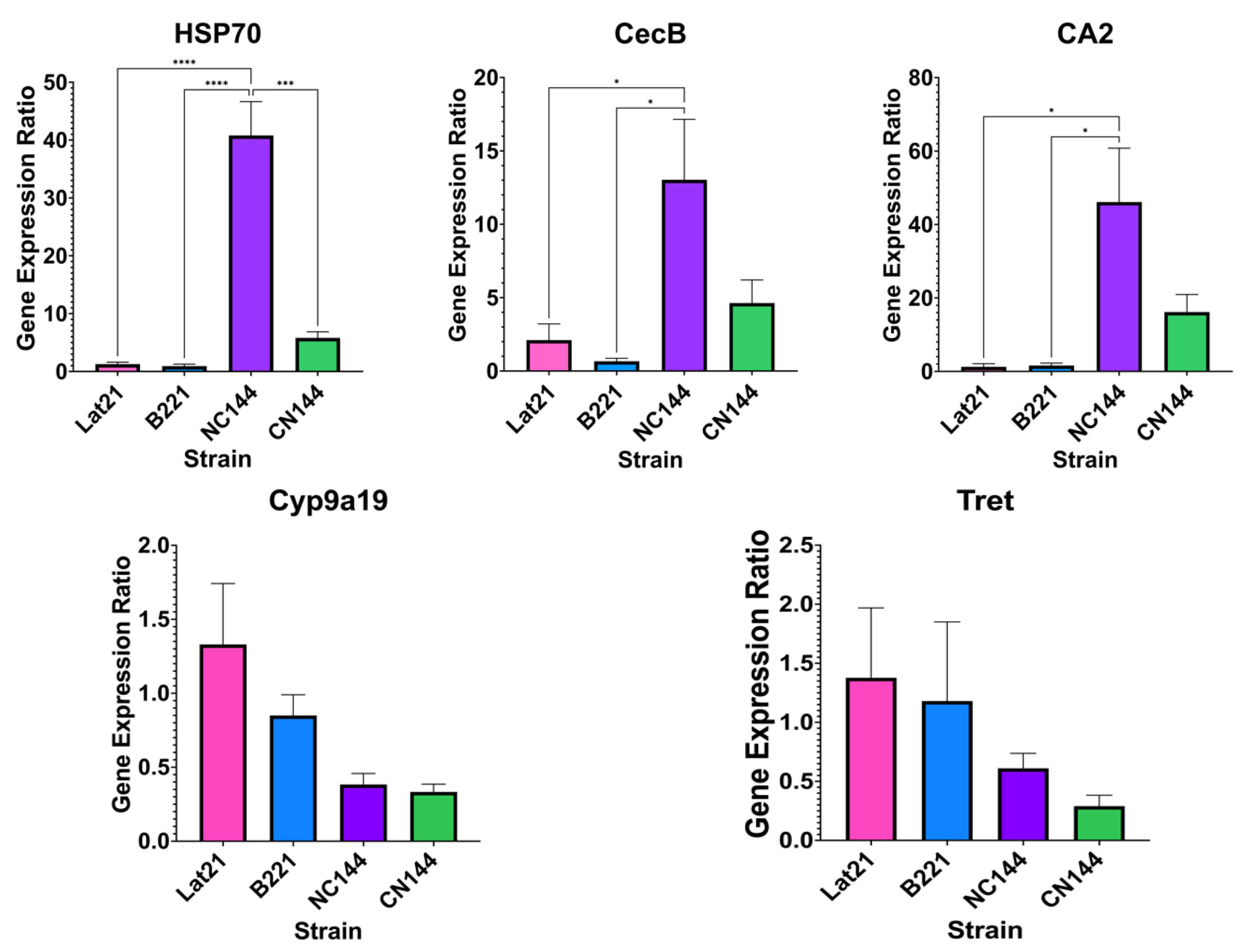 Insects 16 00243 g003