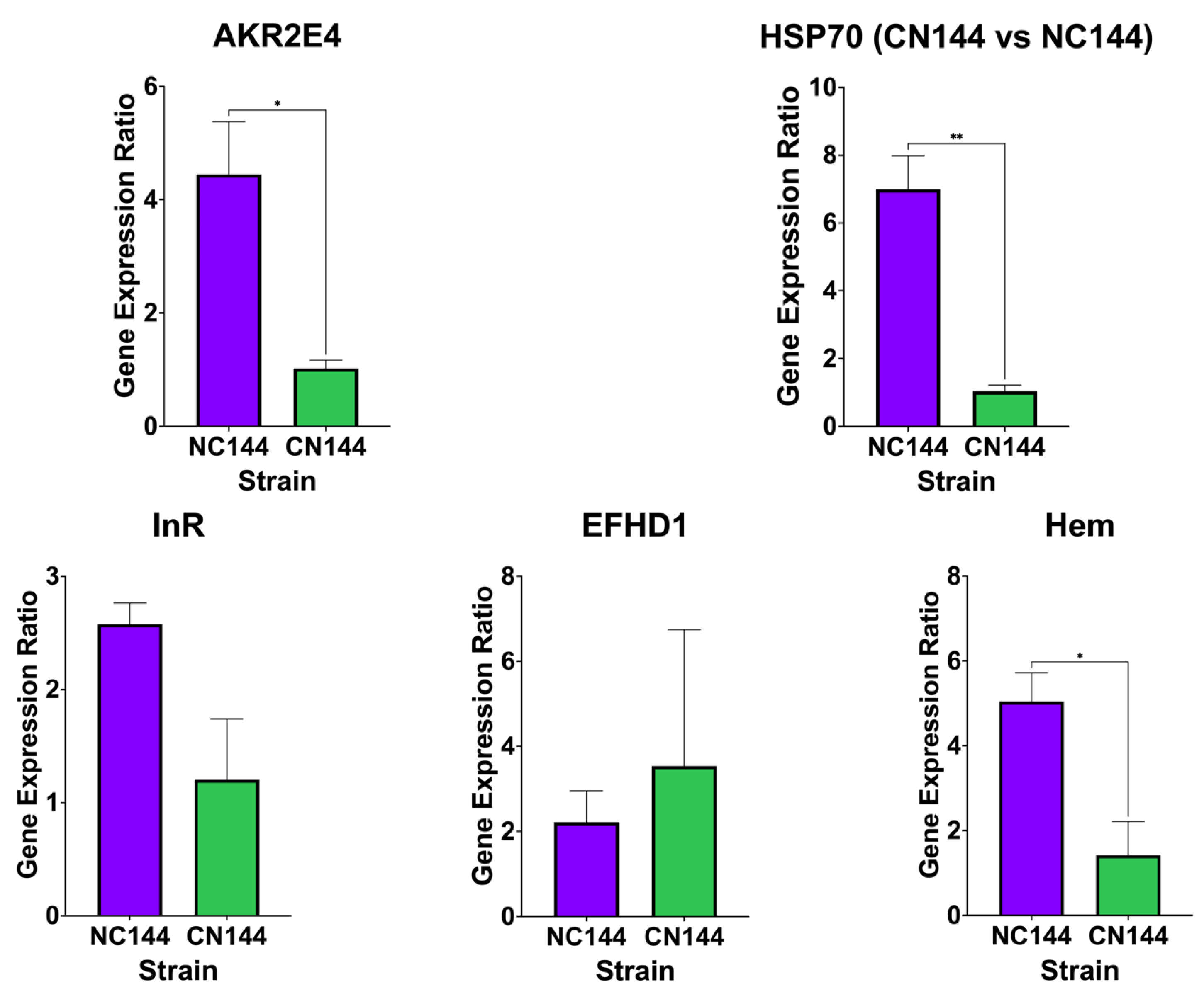 Insects 16 00243 g004