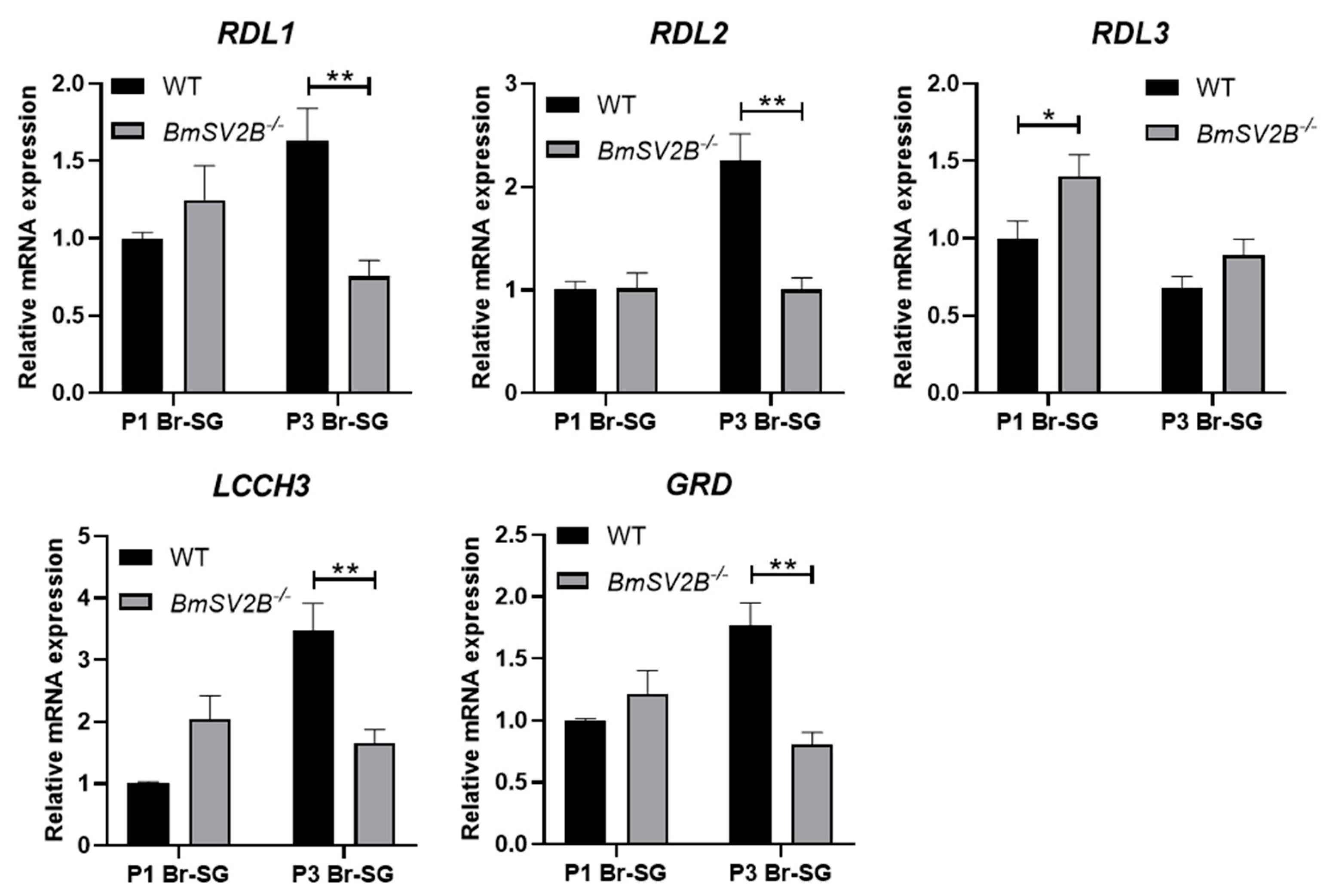 BmSV2A and BmSV2B Are Involved in Regulating GABAergic Neuron-Related ...