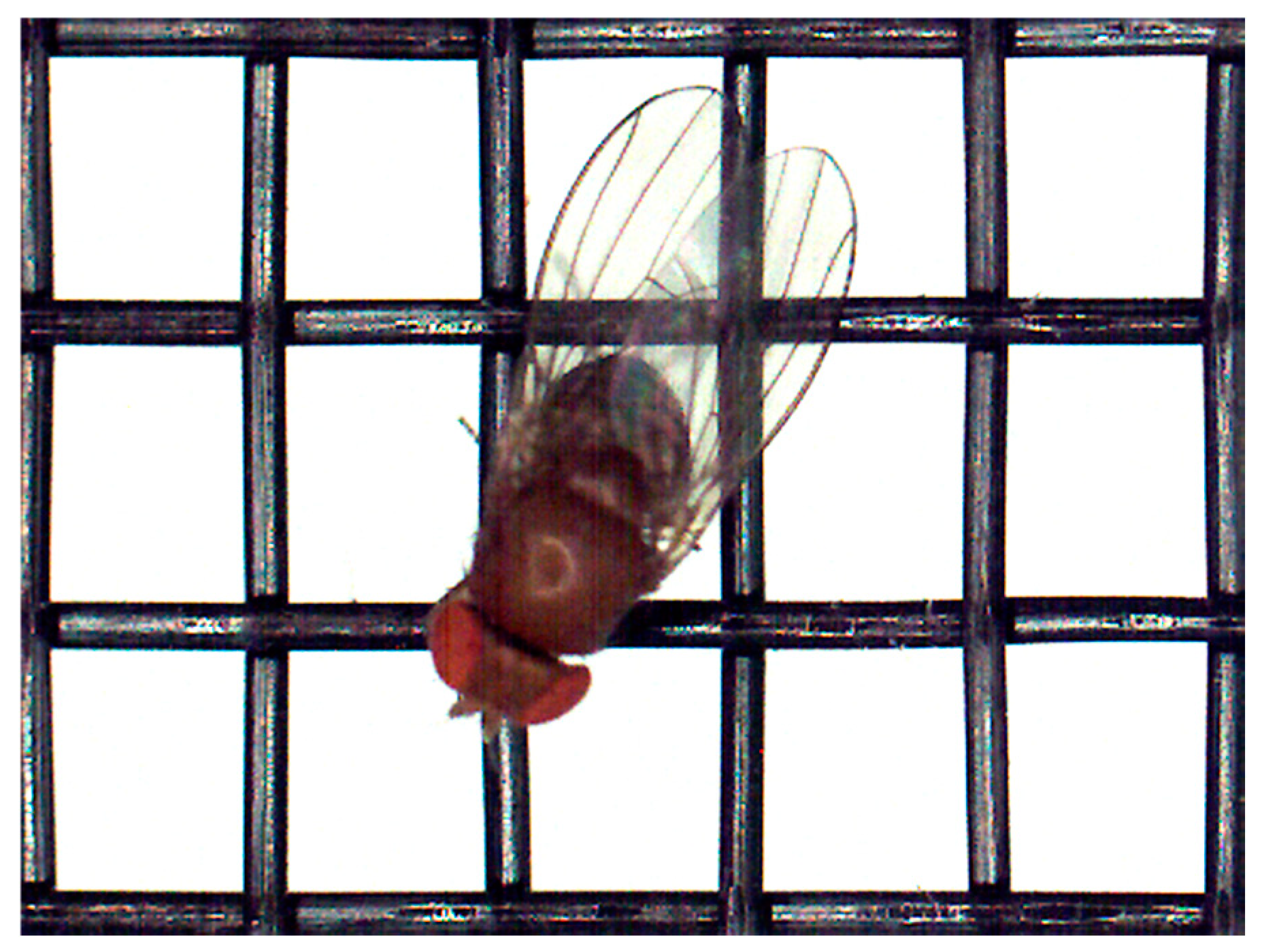 Insects 16 00253 g004 Insects 16 00253 g004