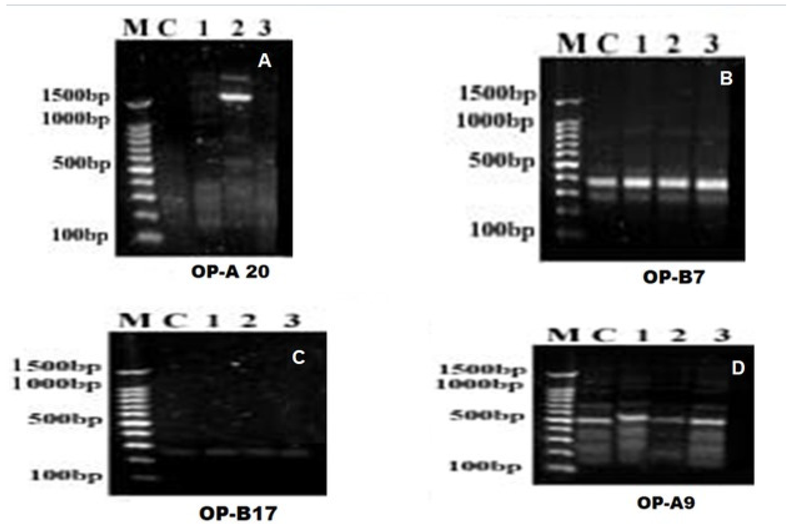 Insects 16 00255 g003