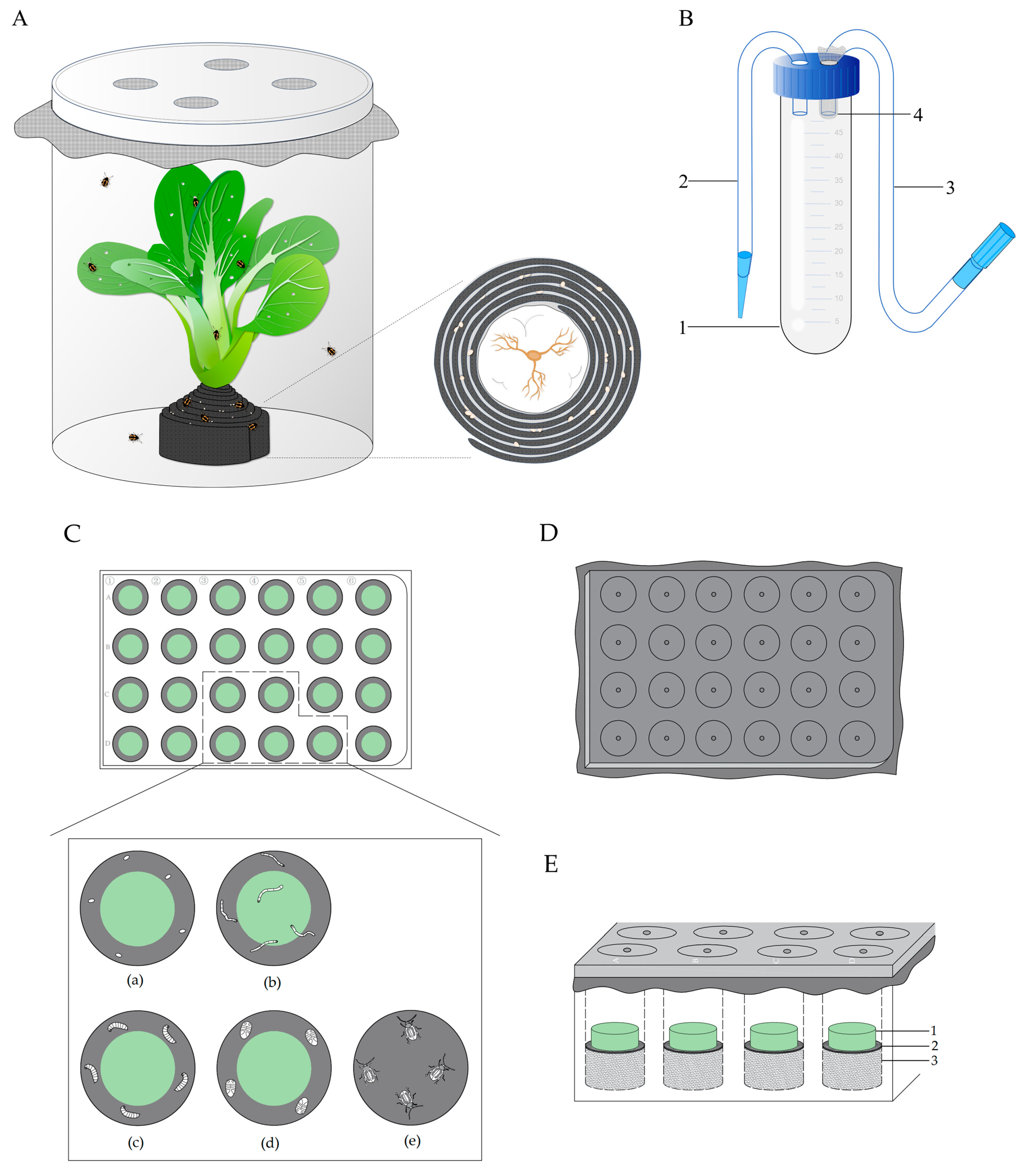 Insects 16 00260 g001