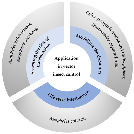 Insects 16 00261 g002