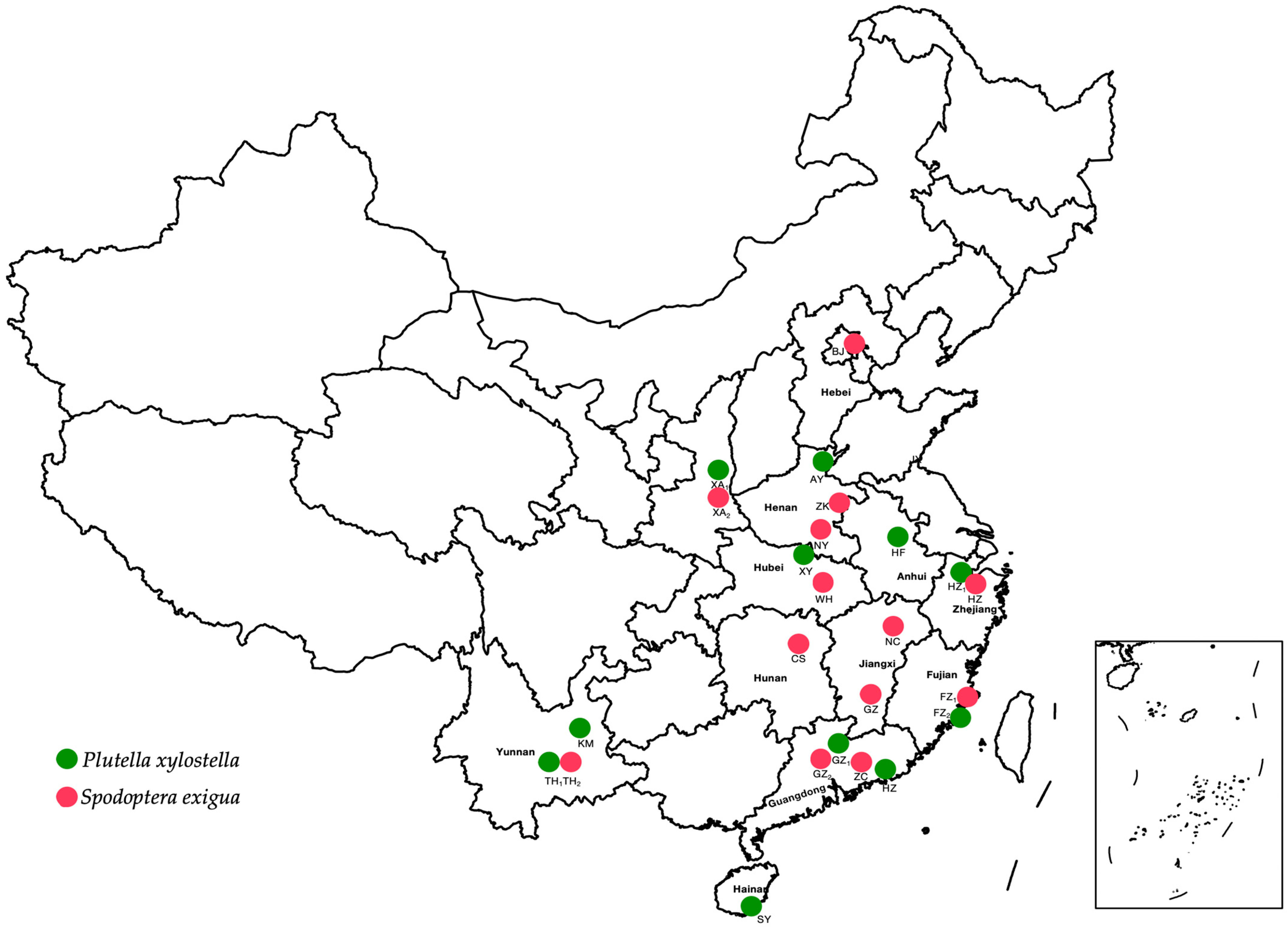 Insects 16 00267 g001