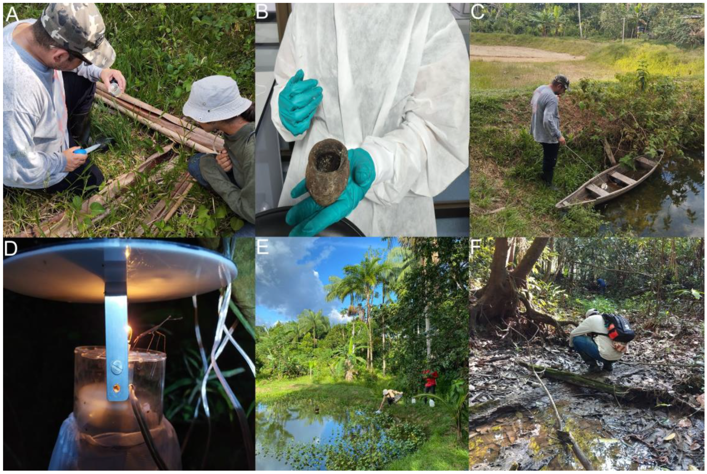 Insects 16 00269 g002