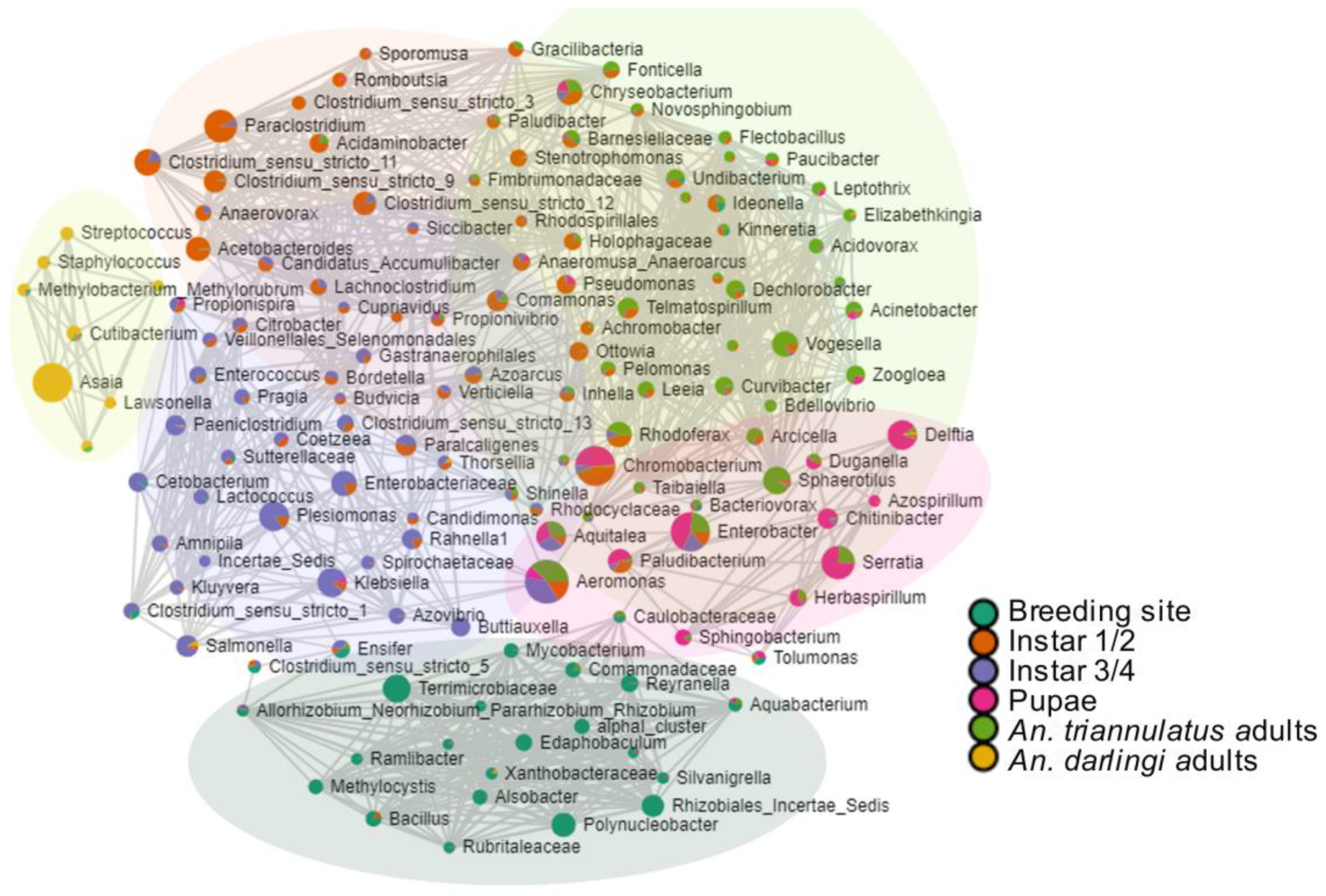 Insects 16 00269 g006