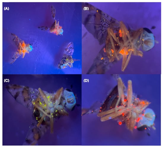 Insects 16 00270 g0a2