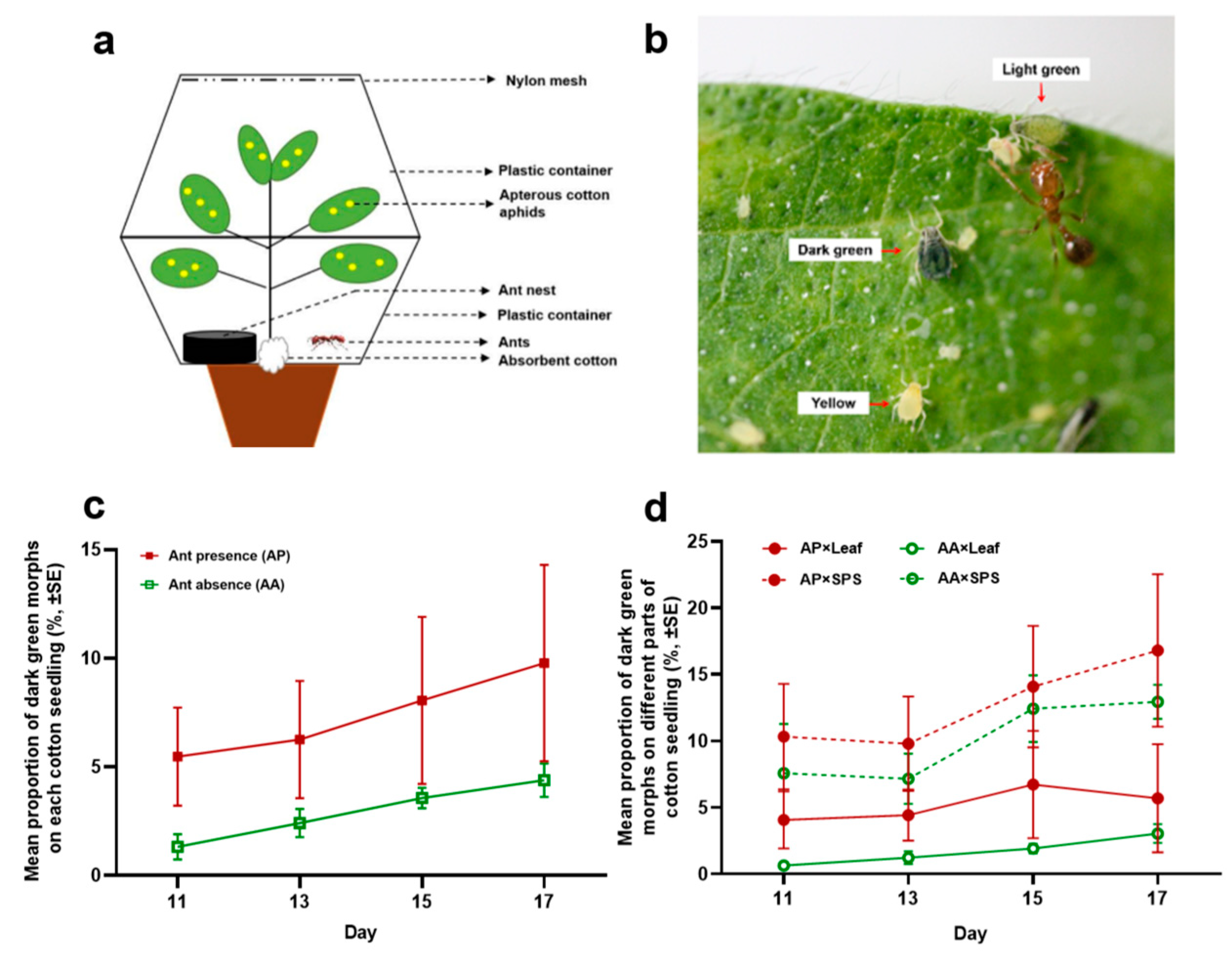 Insects 16 00271 g001
