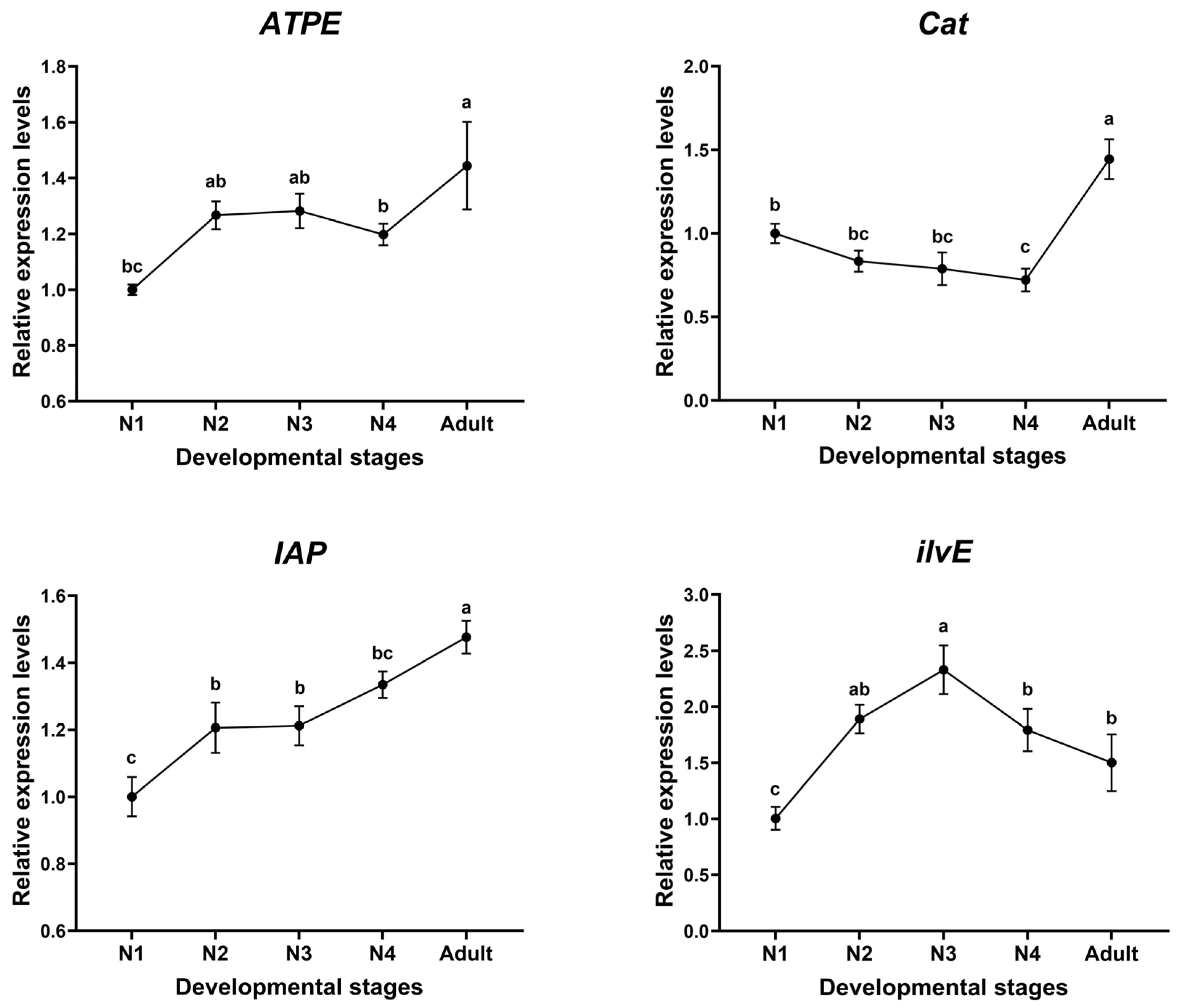 Insects 16 00276 g001