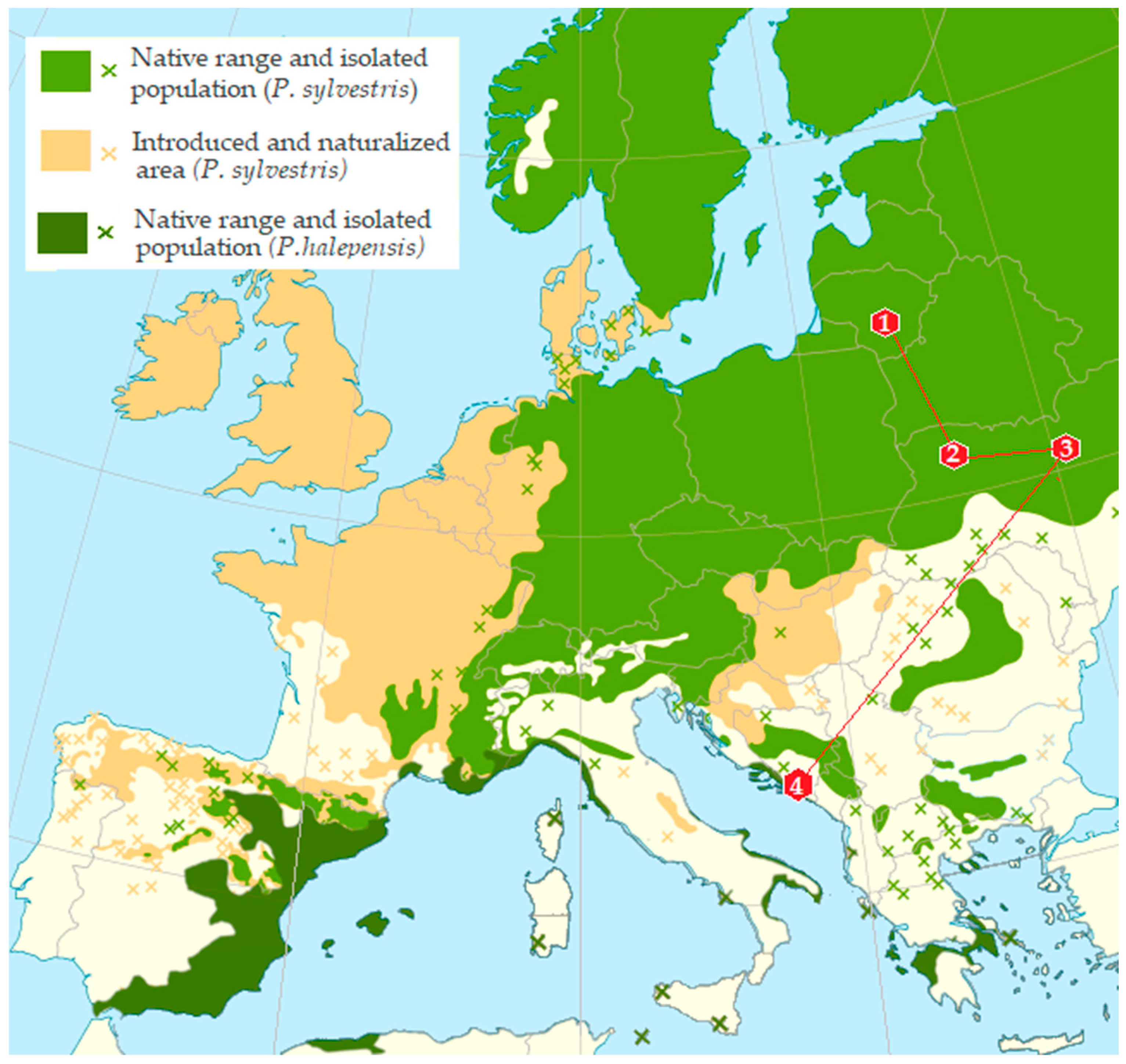 Insects 16 00277 g001