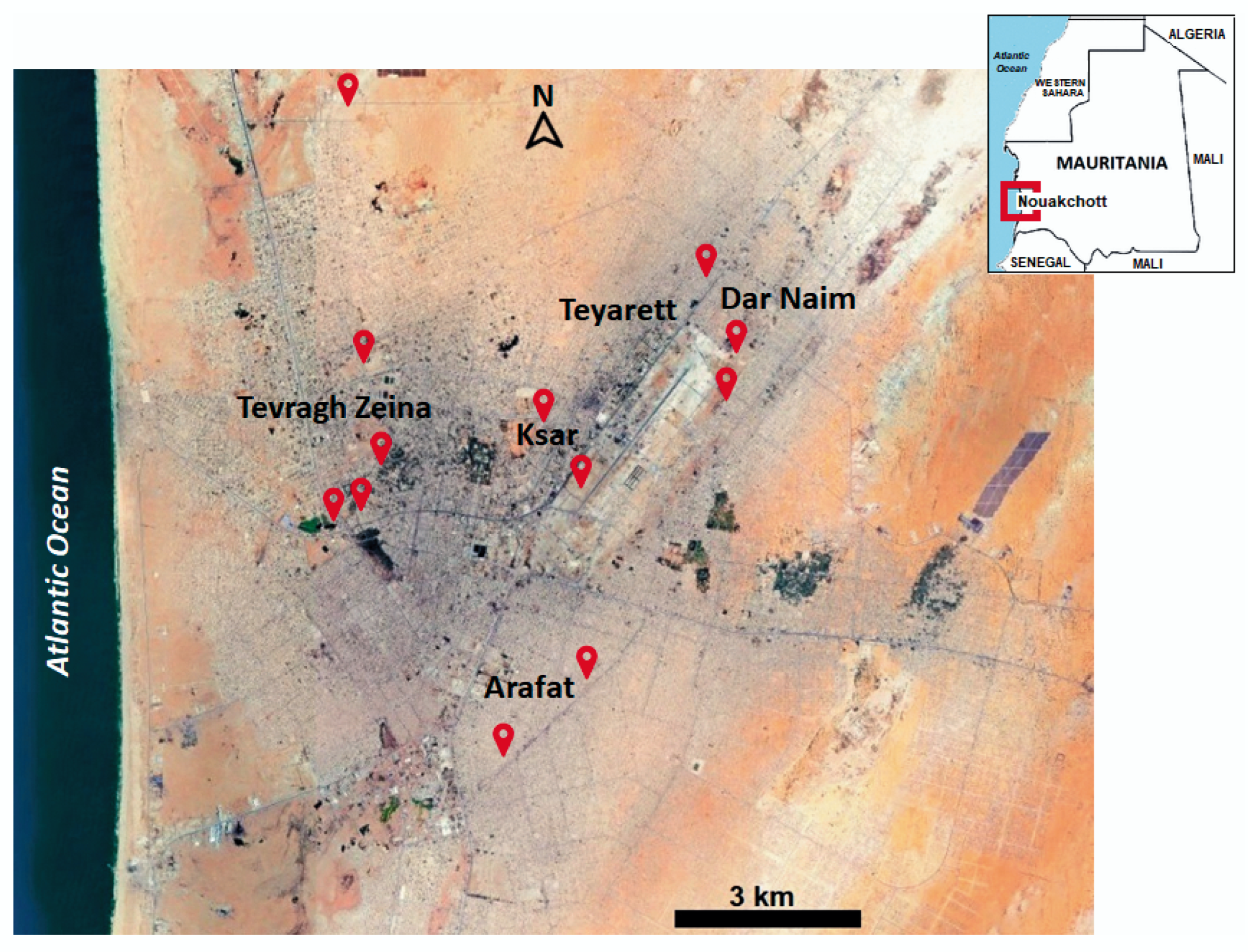 Insects 16 00288 g001