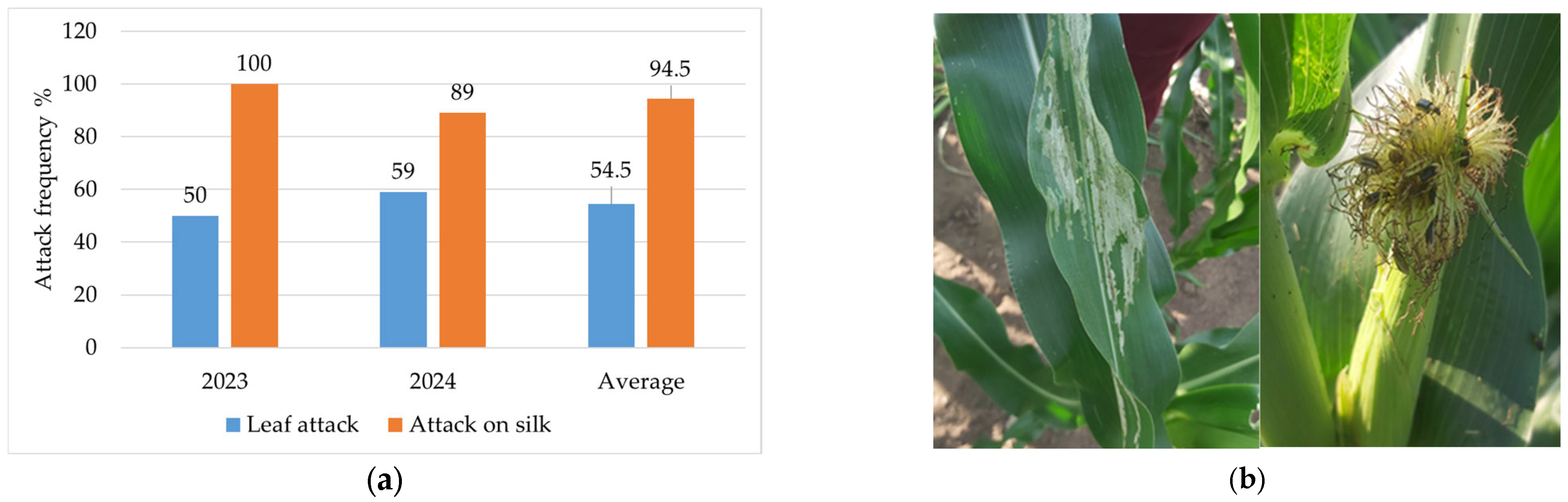 Insects 16 00293 g007
