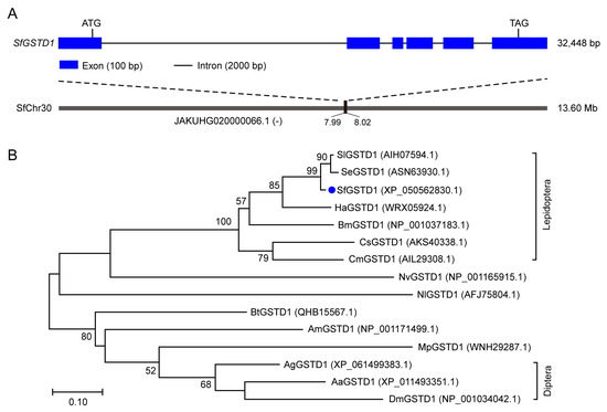 Insects 16 00299 g001