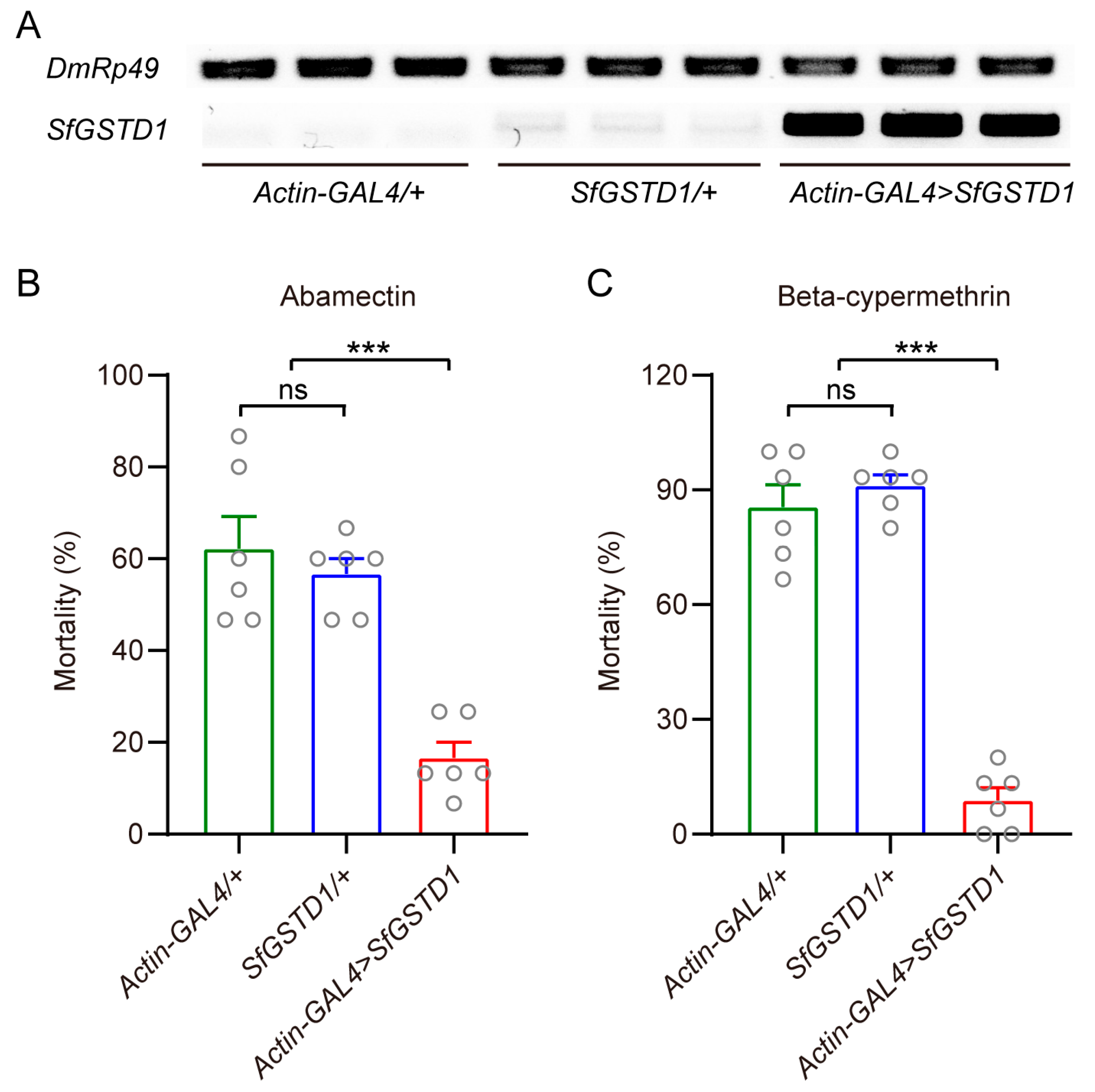 Insects 16 00299 g005