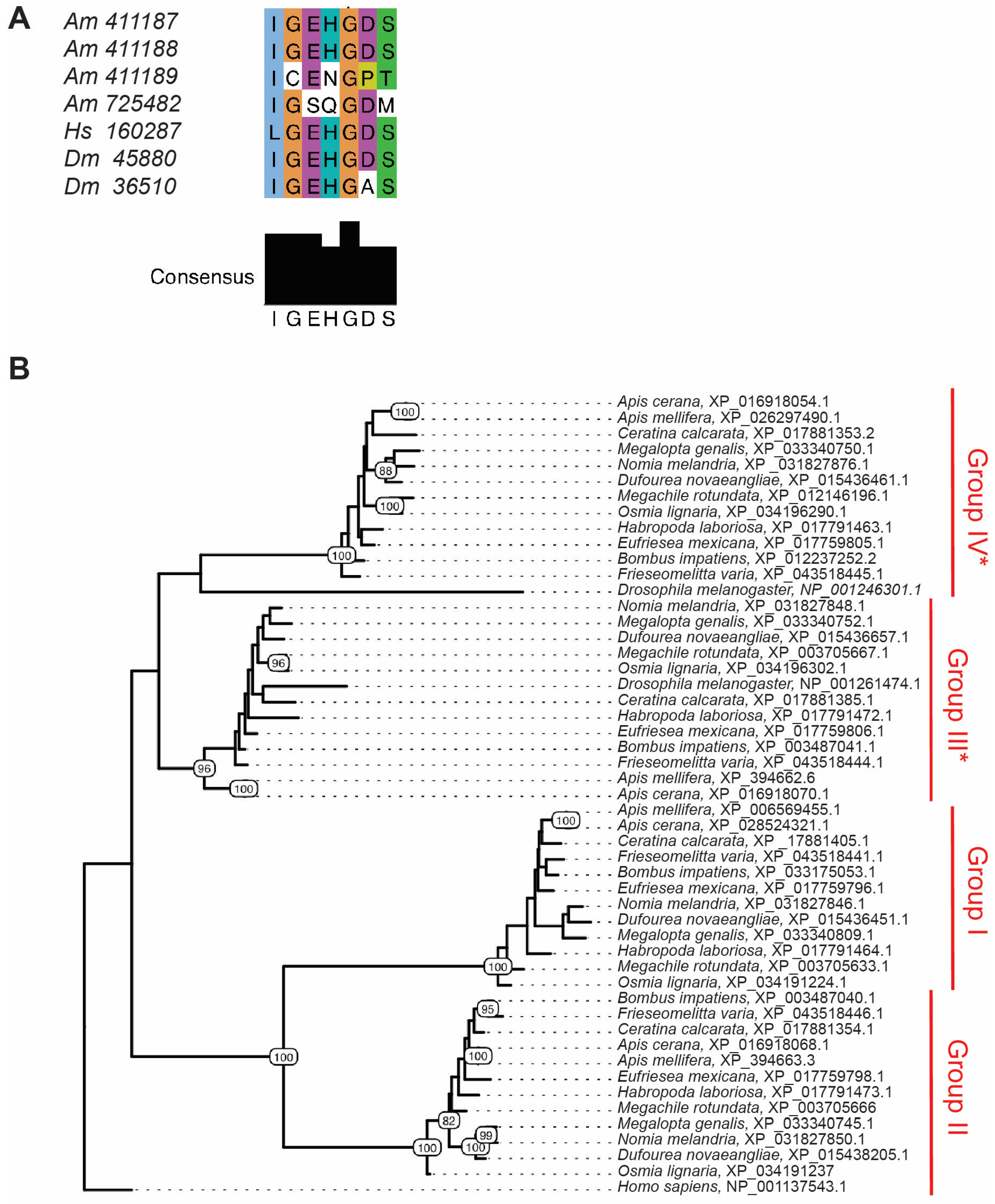 Insects 16 00300 g001