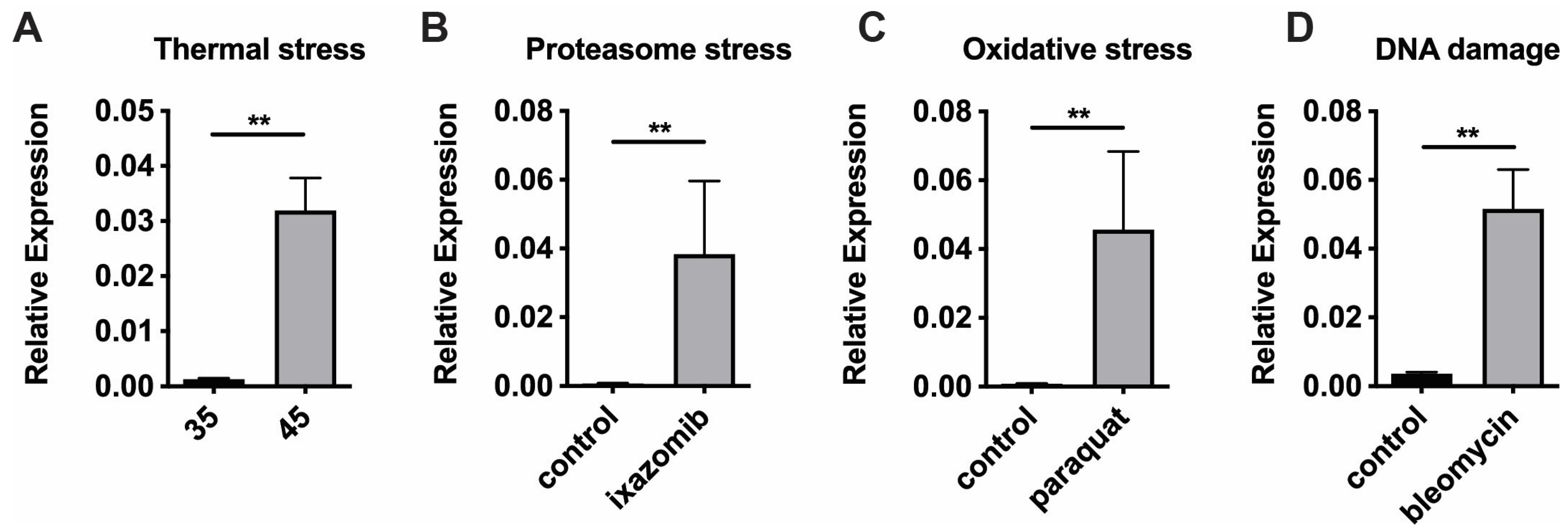 Insects 16 00300 g002