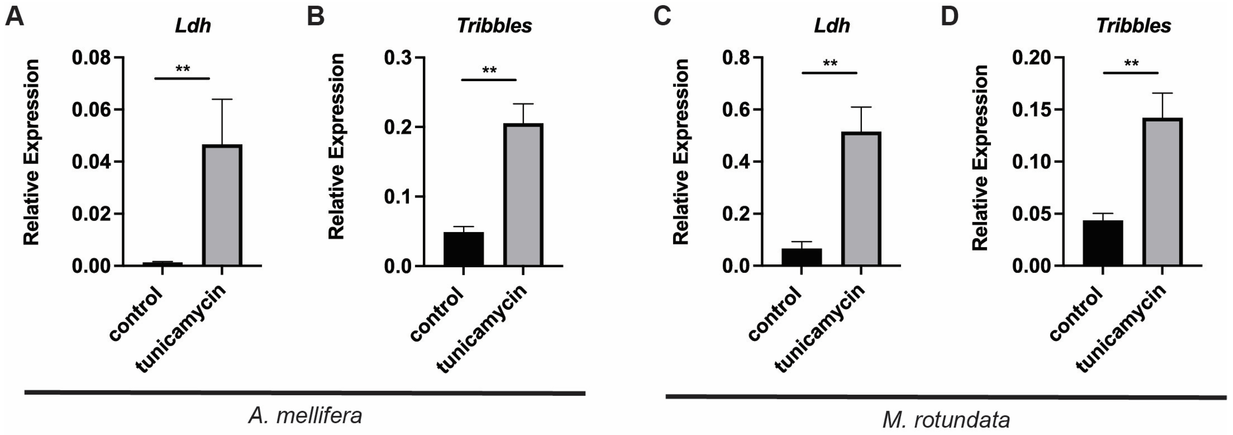 Insects 16 00300 g005