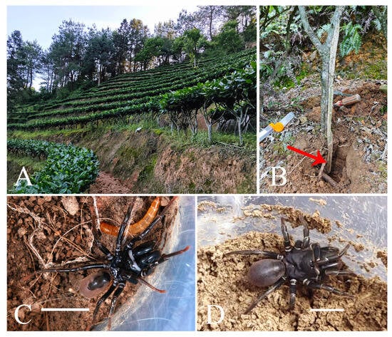 Insects 16 00301 g002