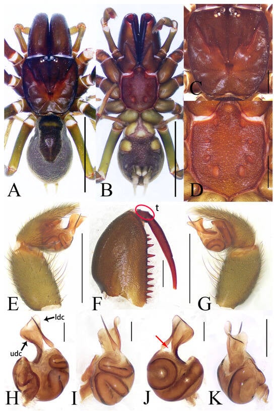 Insects 16 00301 g003