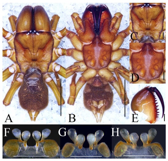 Insects 16 00301 g006