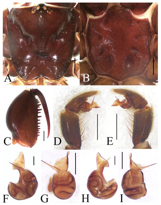 Insects 16 00301 g007
