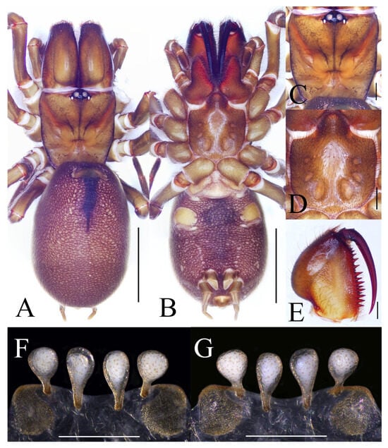 Insects 16 00301 g009