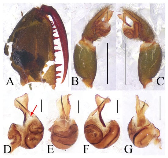 Insects 16 00301 g010