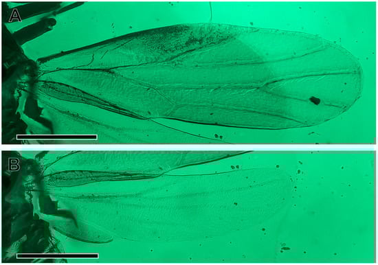 Insects 16 00302 g003