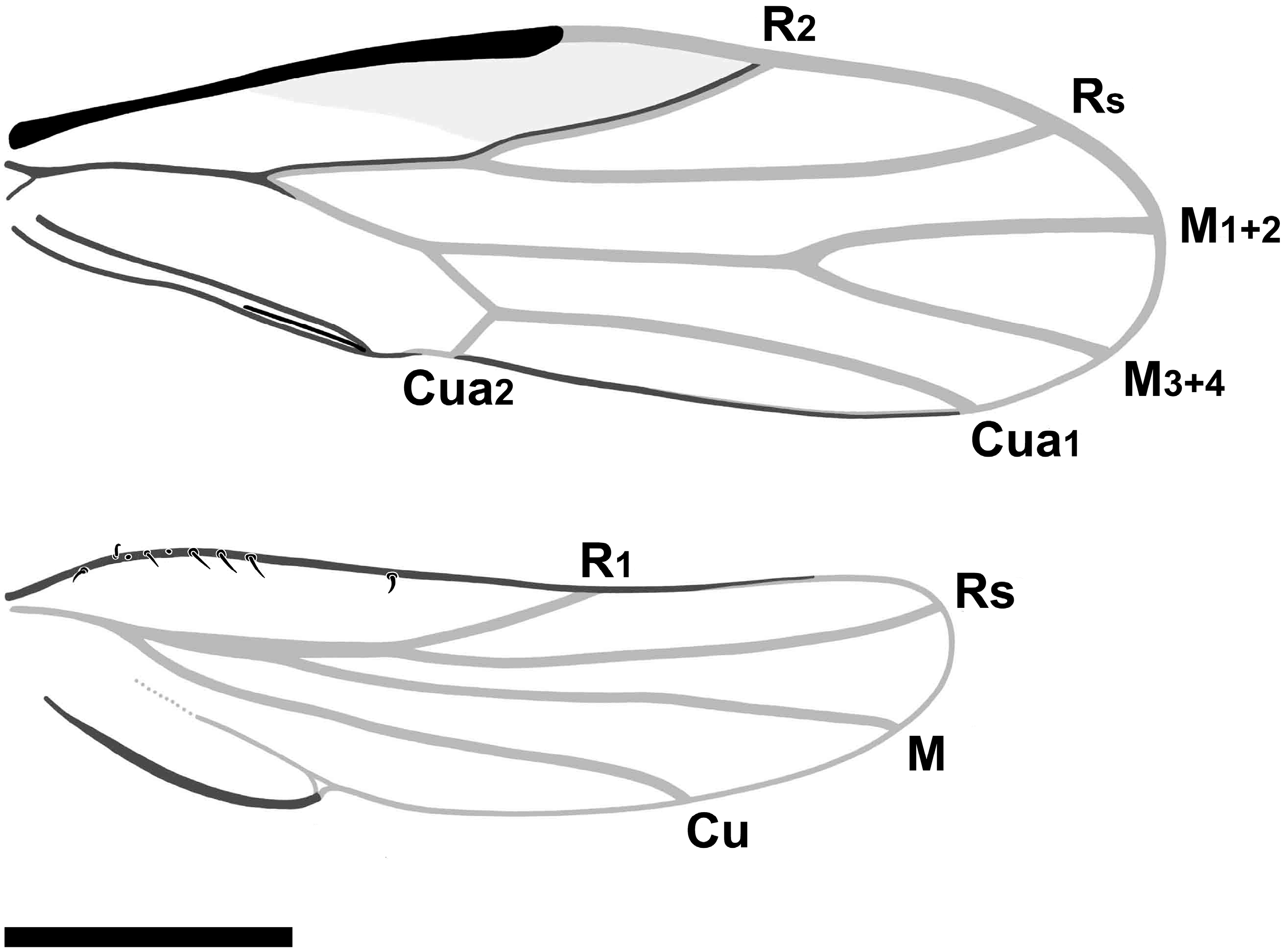 Insects 16 00302 g004