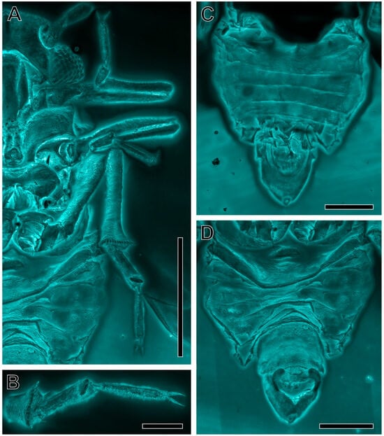 Insects 16 00302 g005