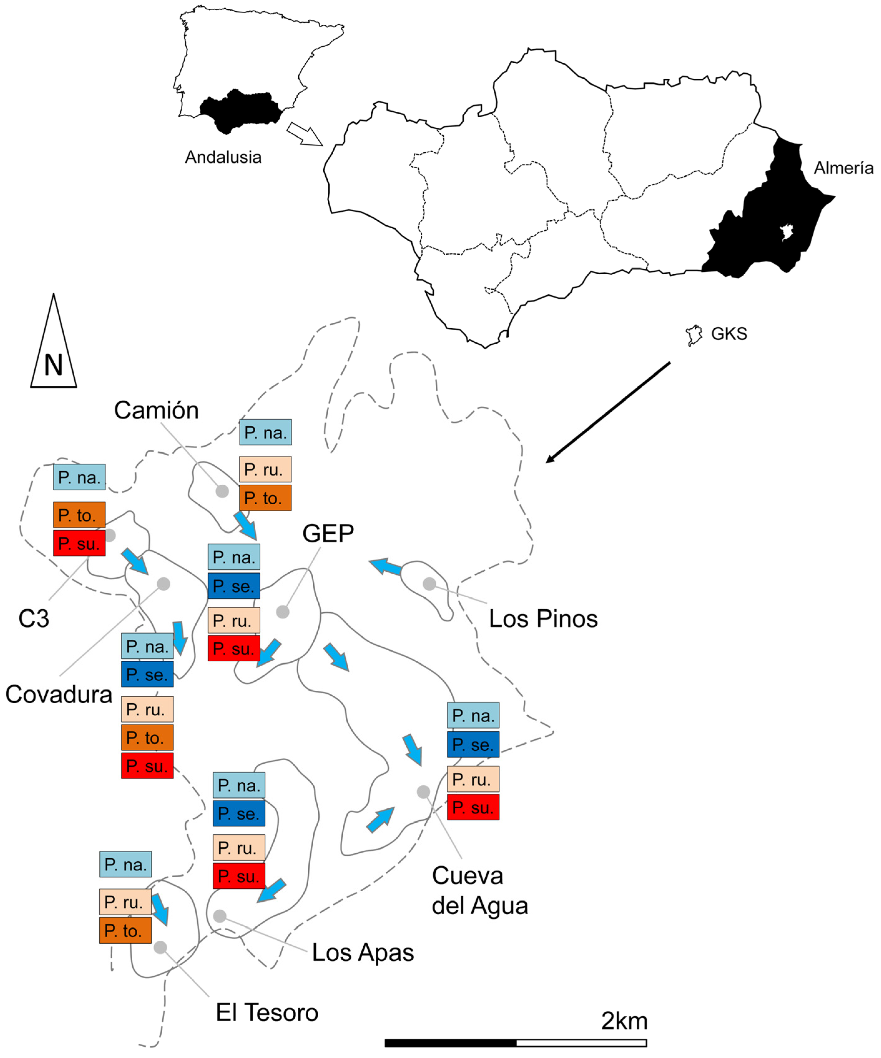 Insects 16 00309 g001