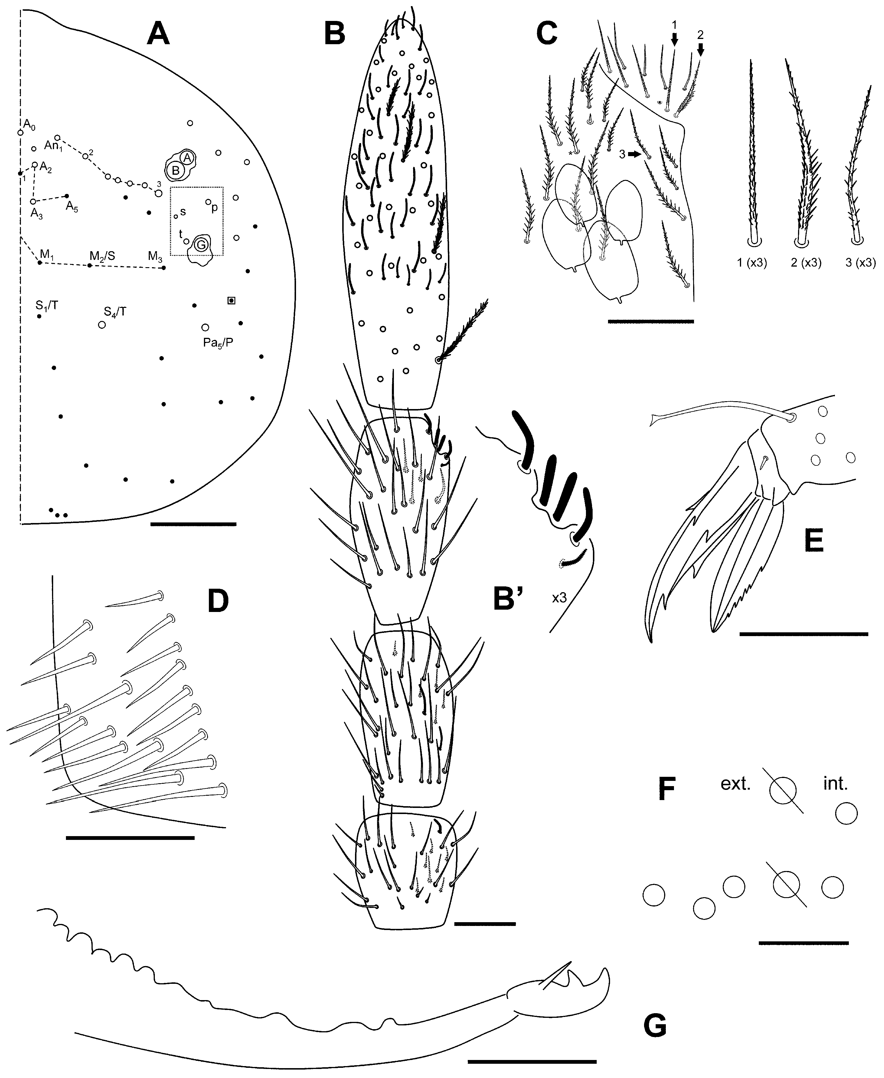 Insects 16 00309 g002