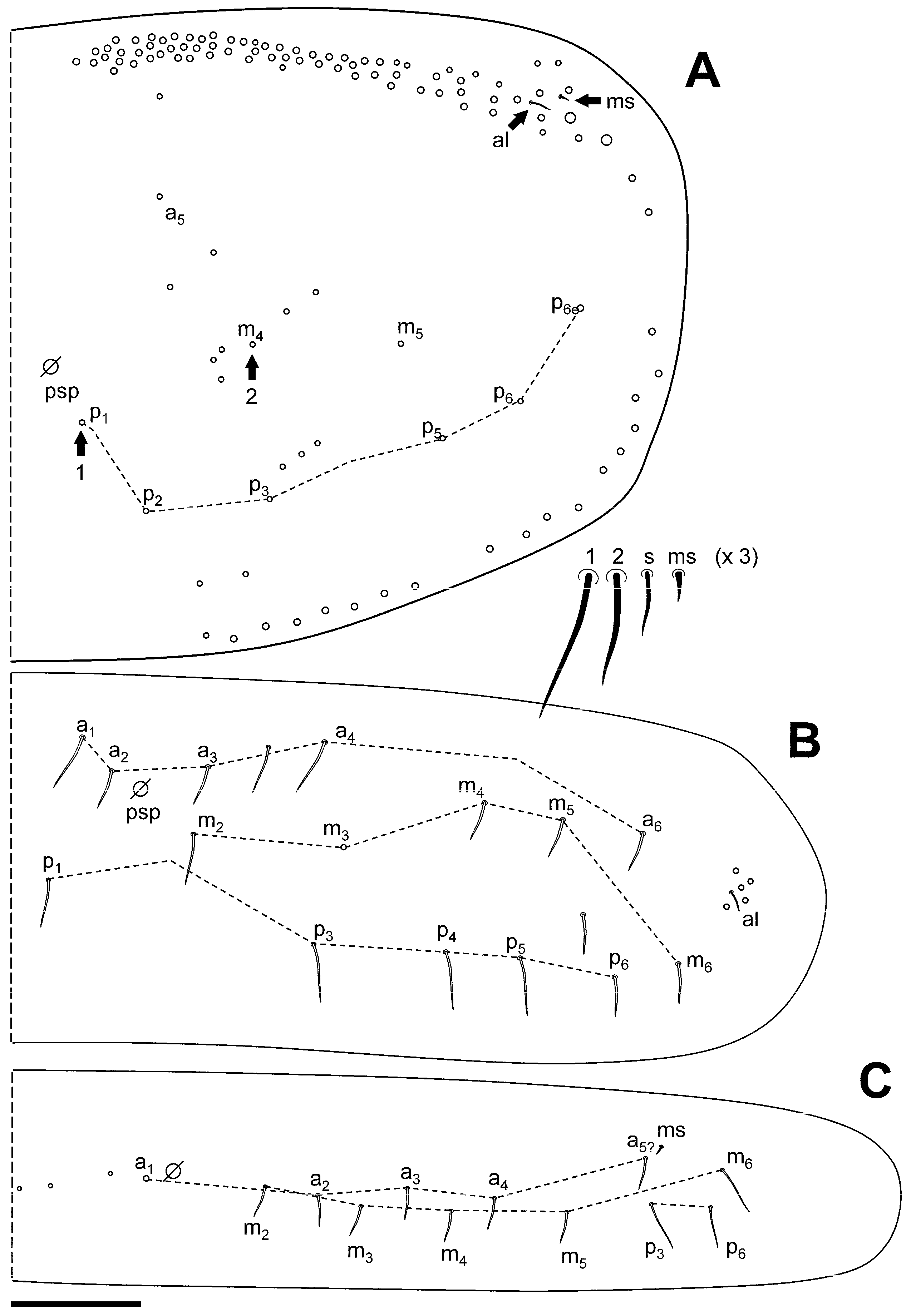 Insects 16 00309 g003