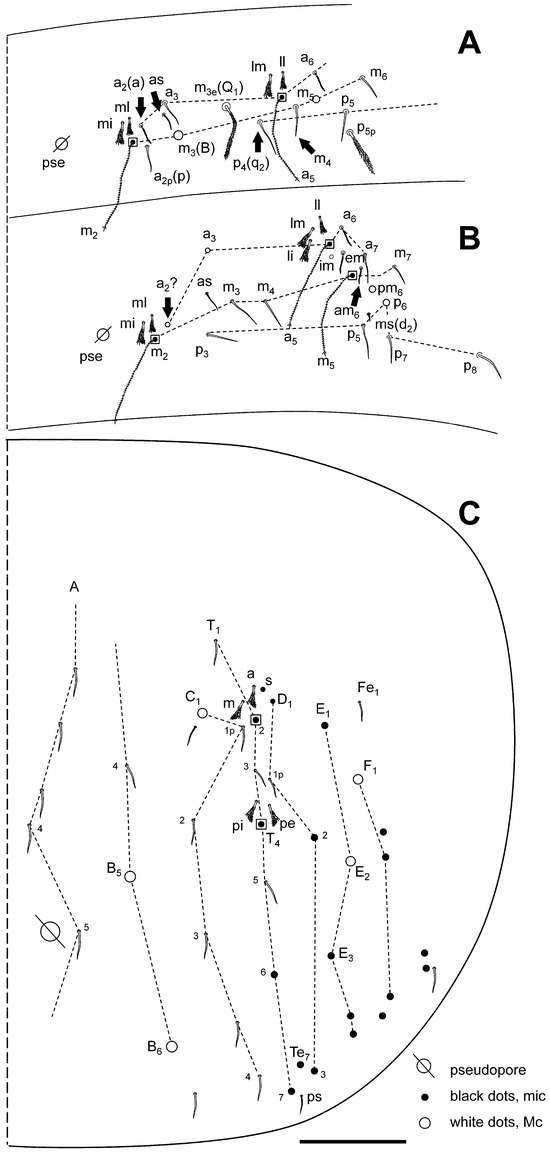 Insects 16 00309 g004