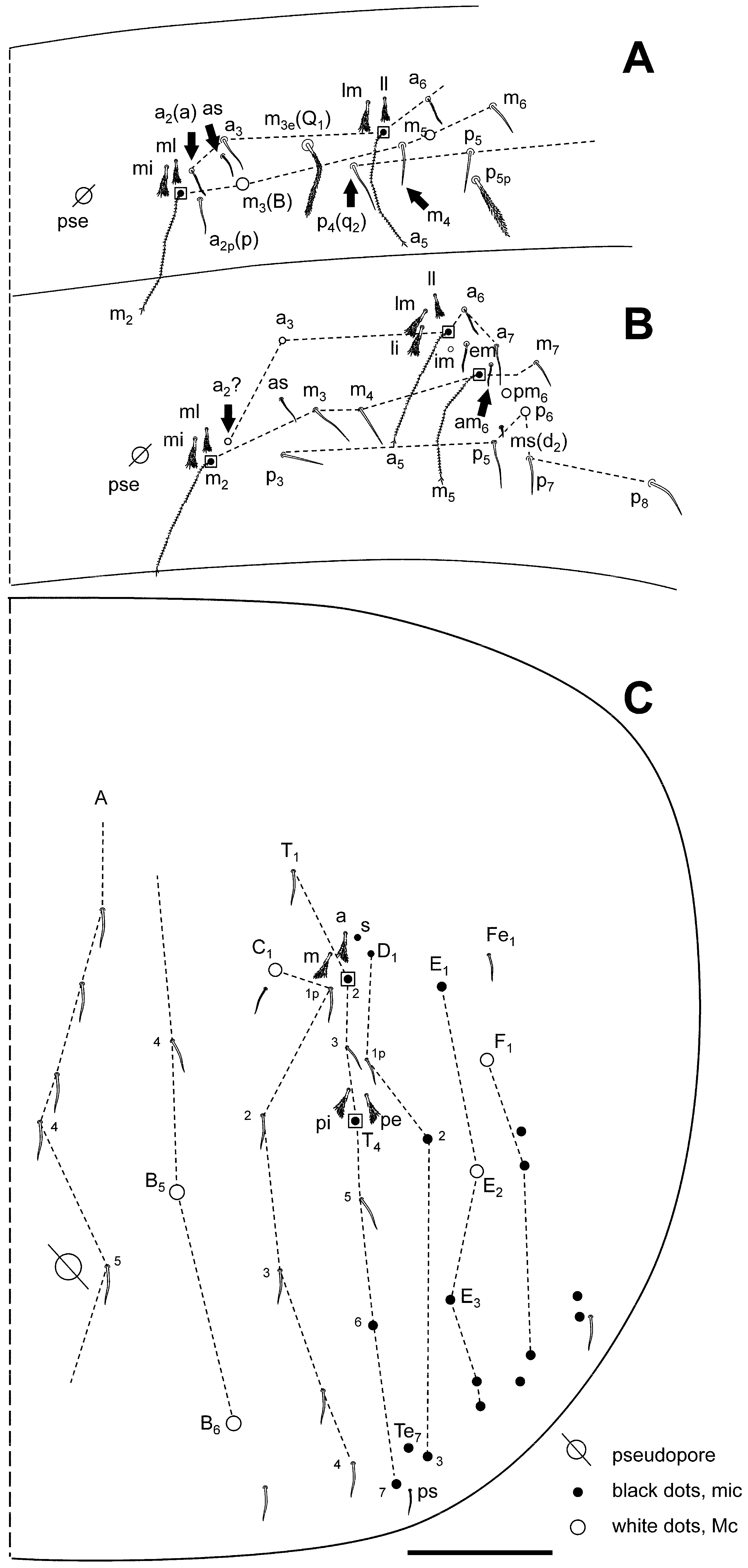 Insects 16 00309 g004